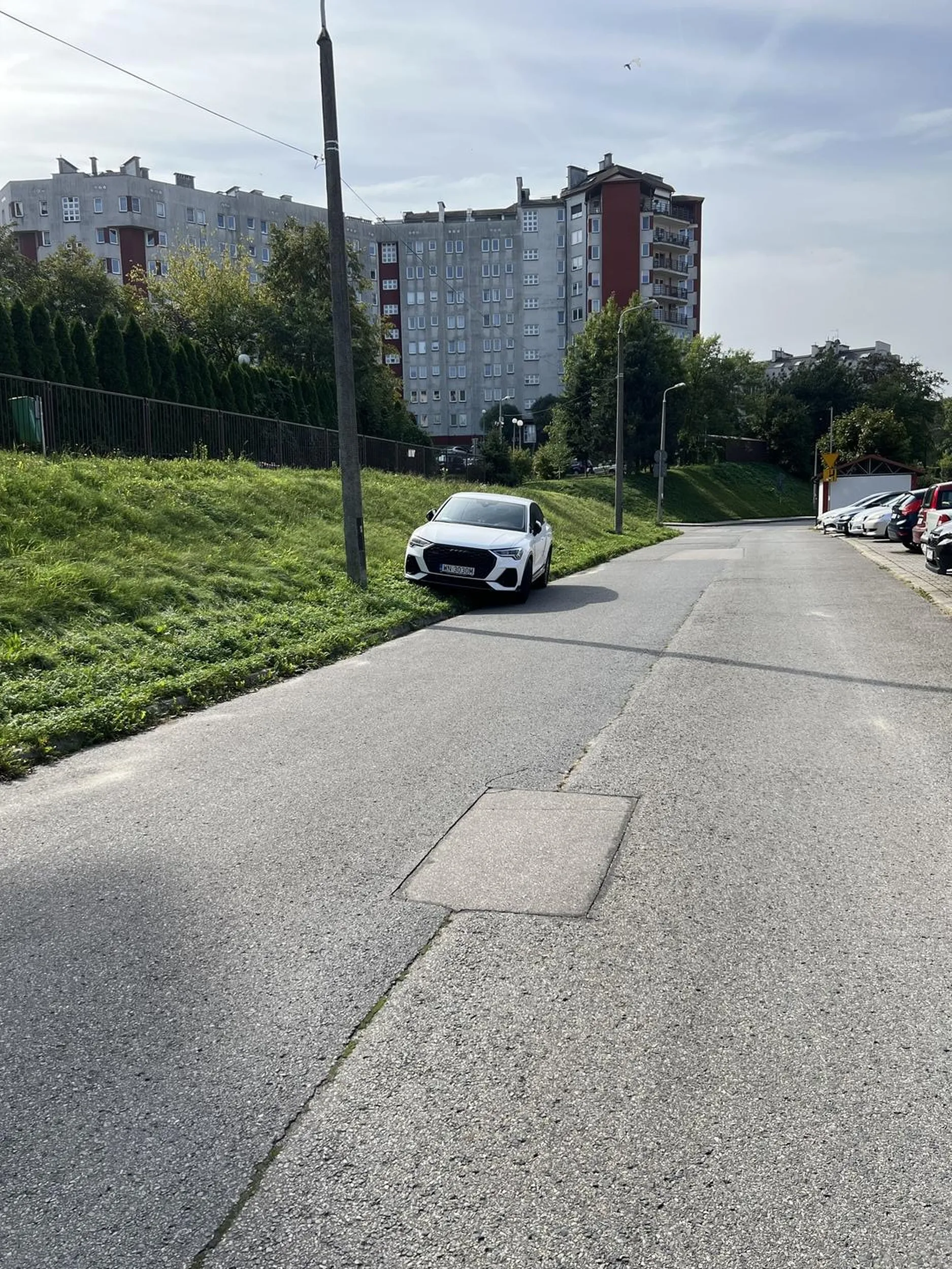 Coś się chyba kierowcy pomyliło. Auto zaparkowane jak po pijaku na trawie. Obok duży parking