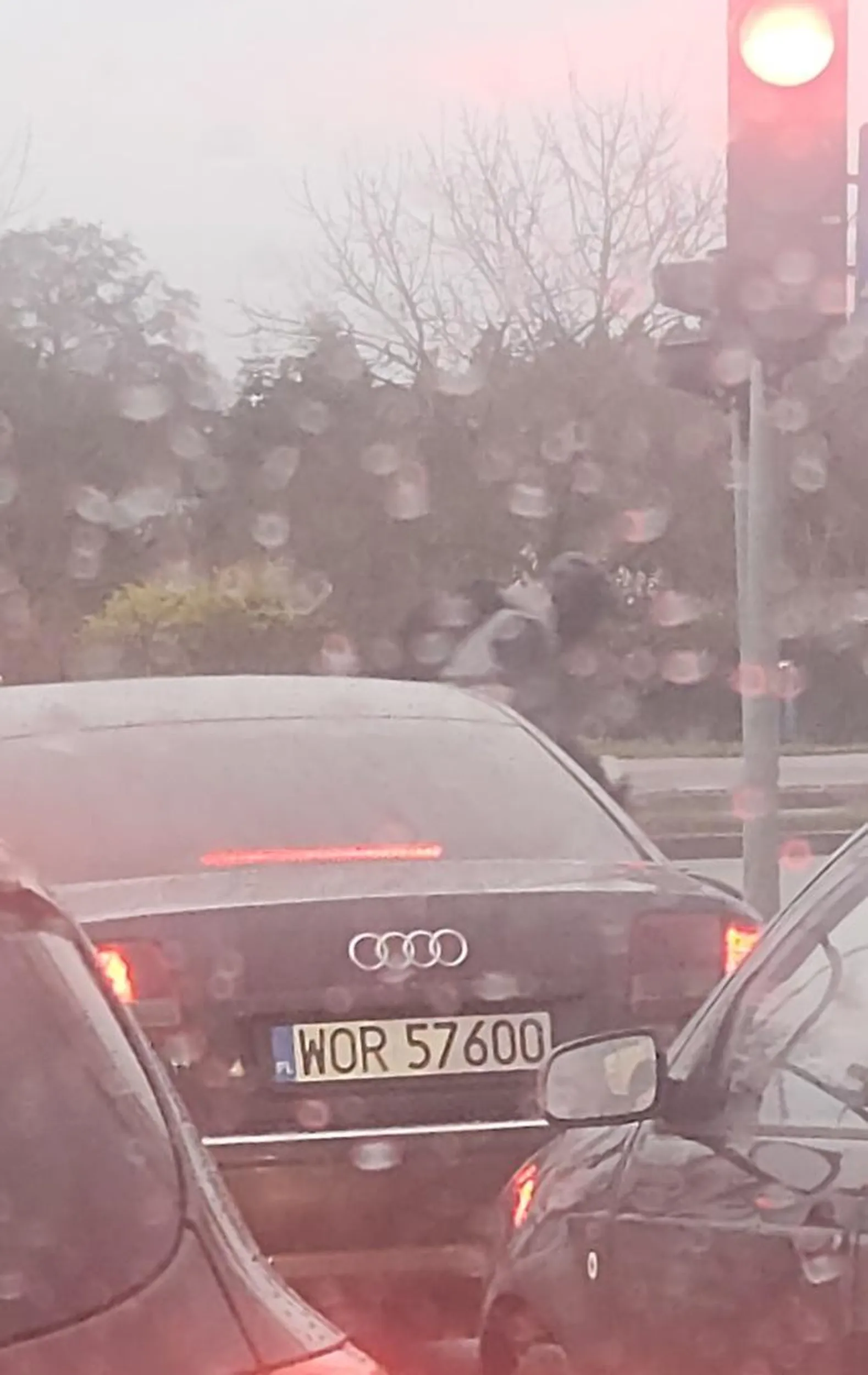 Cztery zera na masce i tyle samo w mózgu. Wyprzedzanie na podwójnych ciągłych, przejściach dla pieszych.