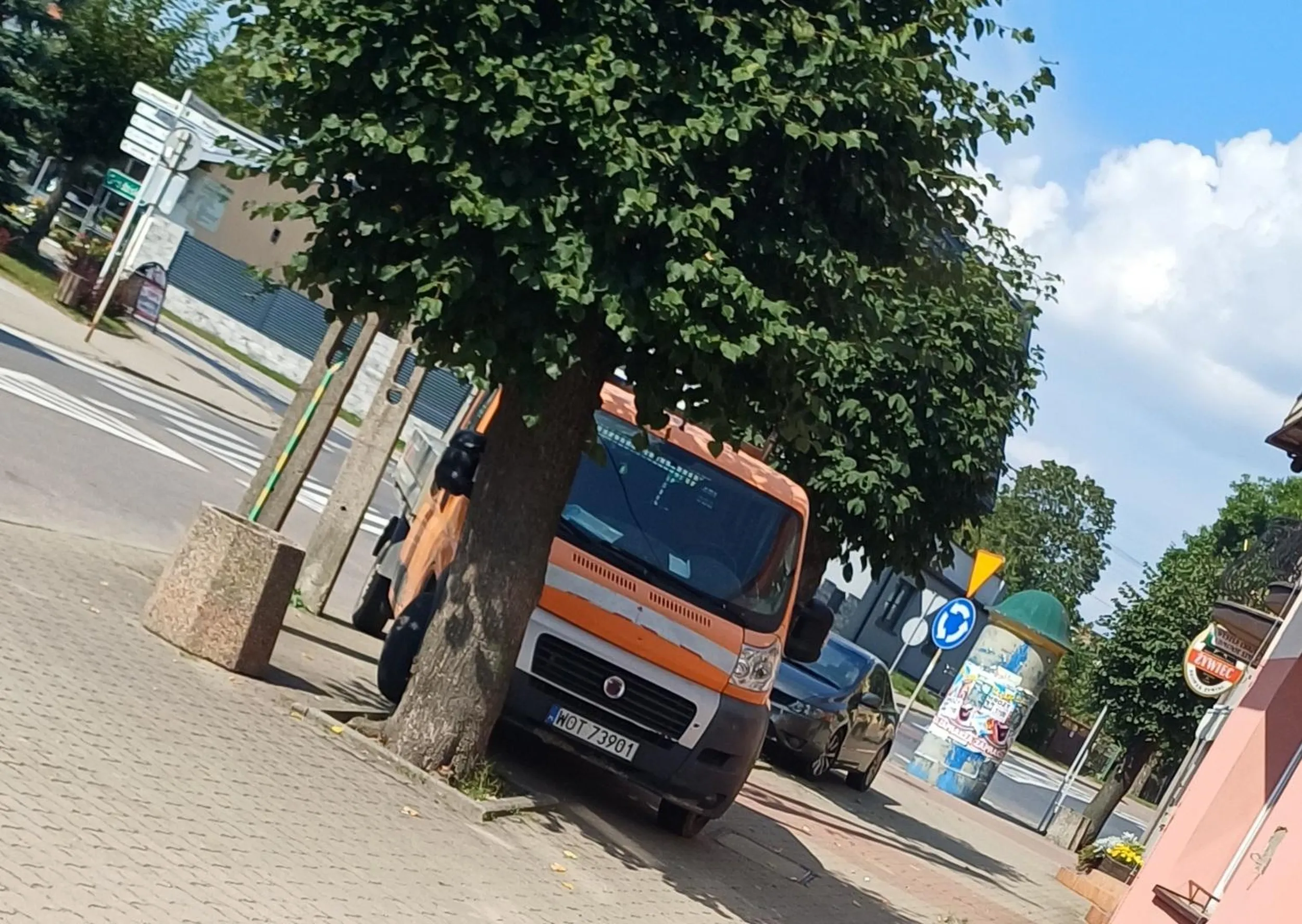 Brak jakichkolwiek umiejętności