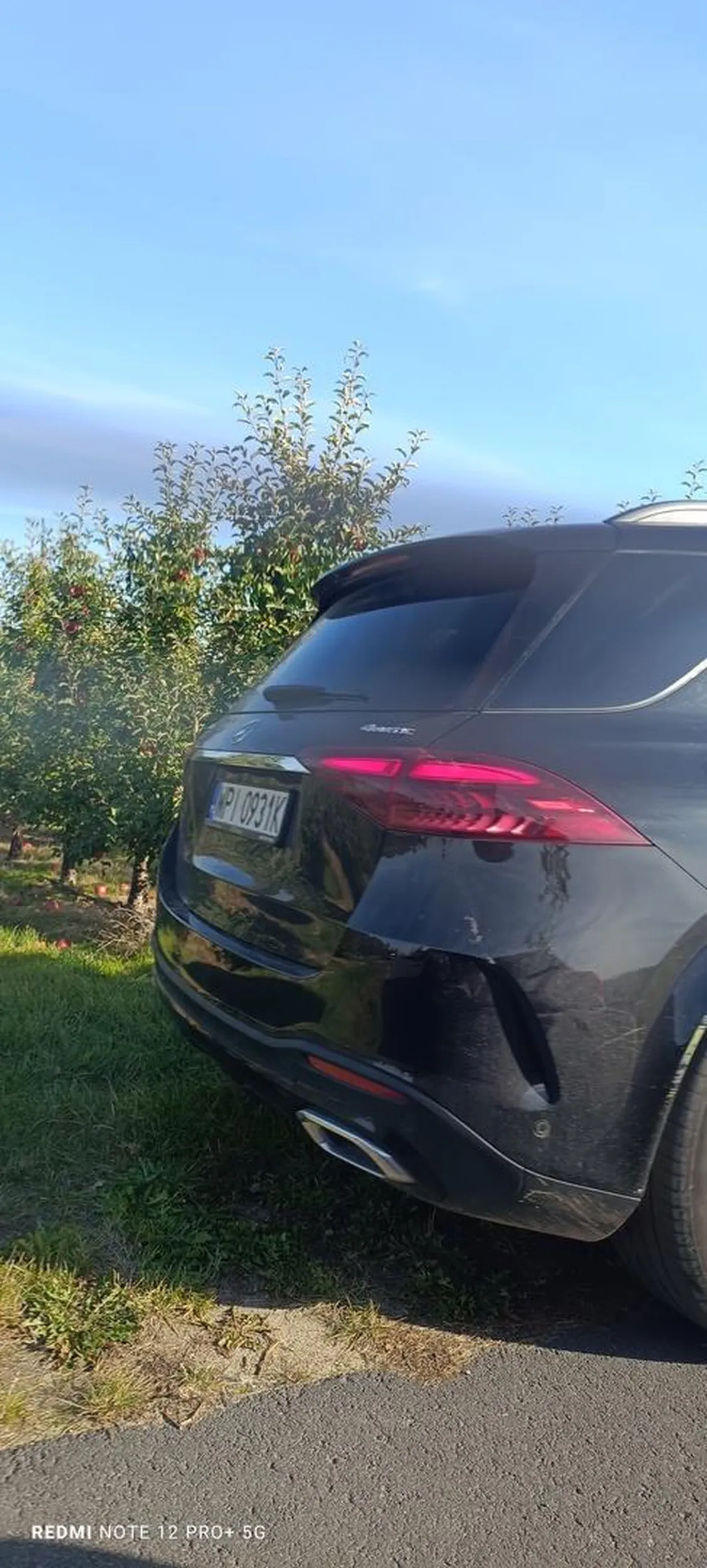 Gościu jeździ mercedesem i kradnie jabłka razem ze swoją rodziną . Głupio się tłumaczy jak został przyłapany na kradzieży .