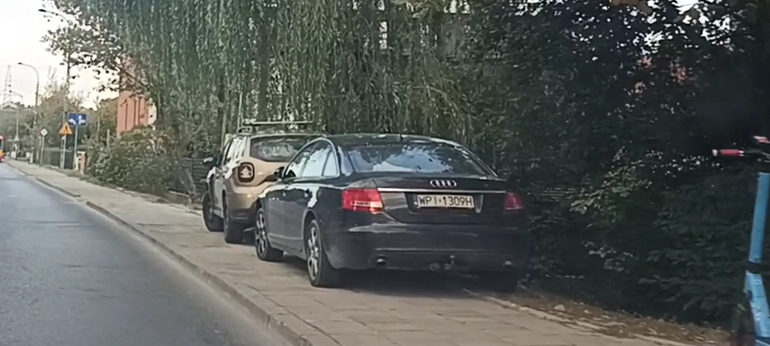 Patologia parkuje na chodniku i trawniku a piesi muszą się przeciskać obok