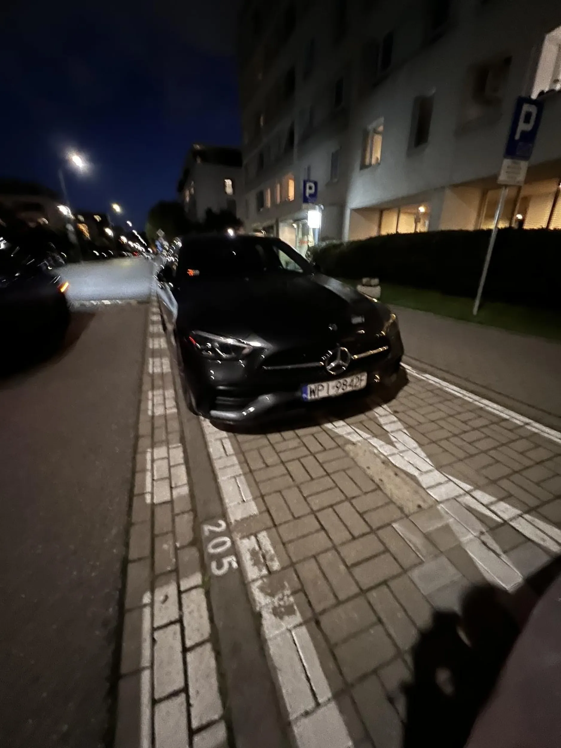 Zastawia prywatne miejsce postojowe. Nie stosuje się do znaków drogowych.