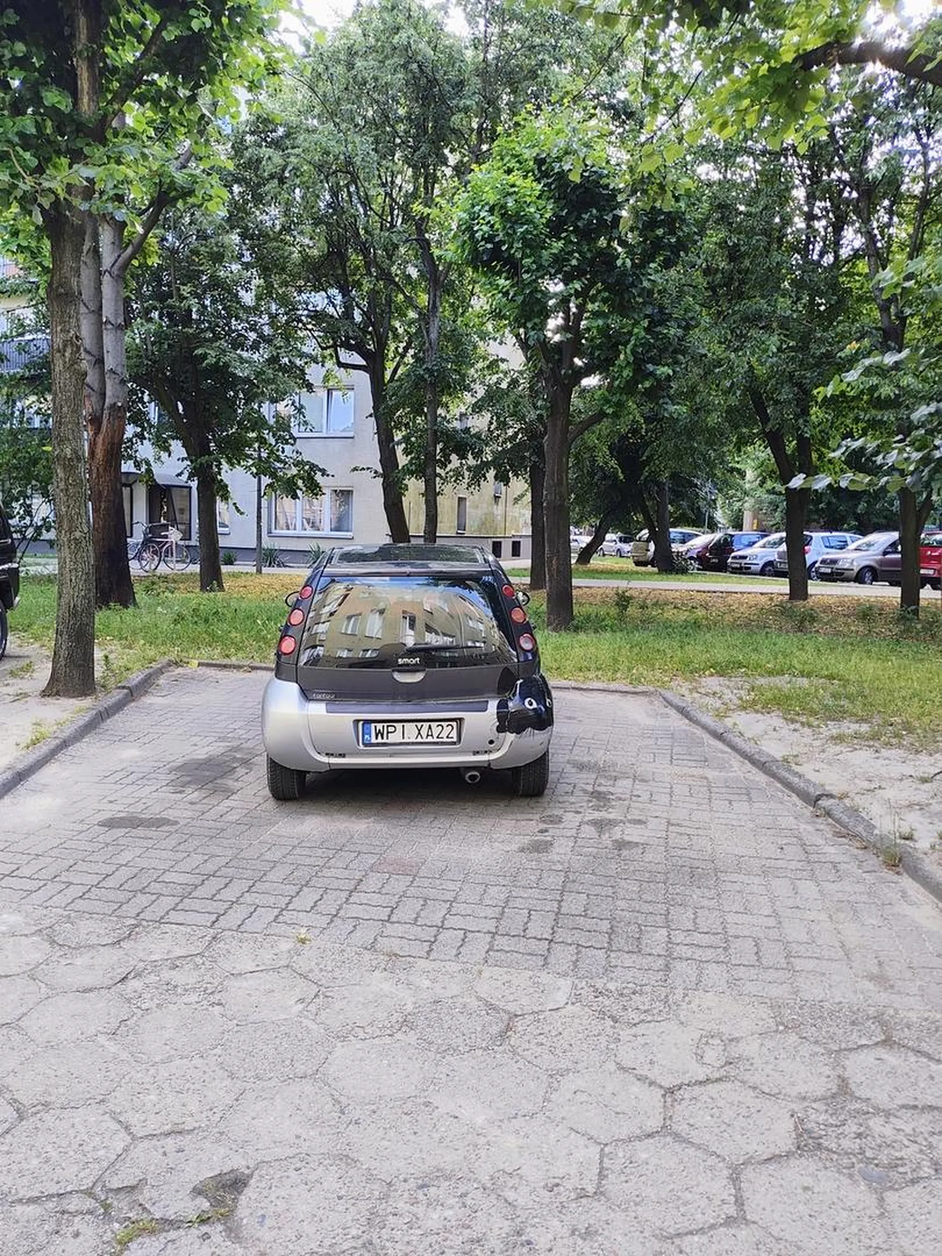 Mistrz parkowania, w końcu tak duże auto musi zająć dwa miejsca.