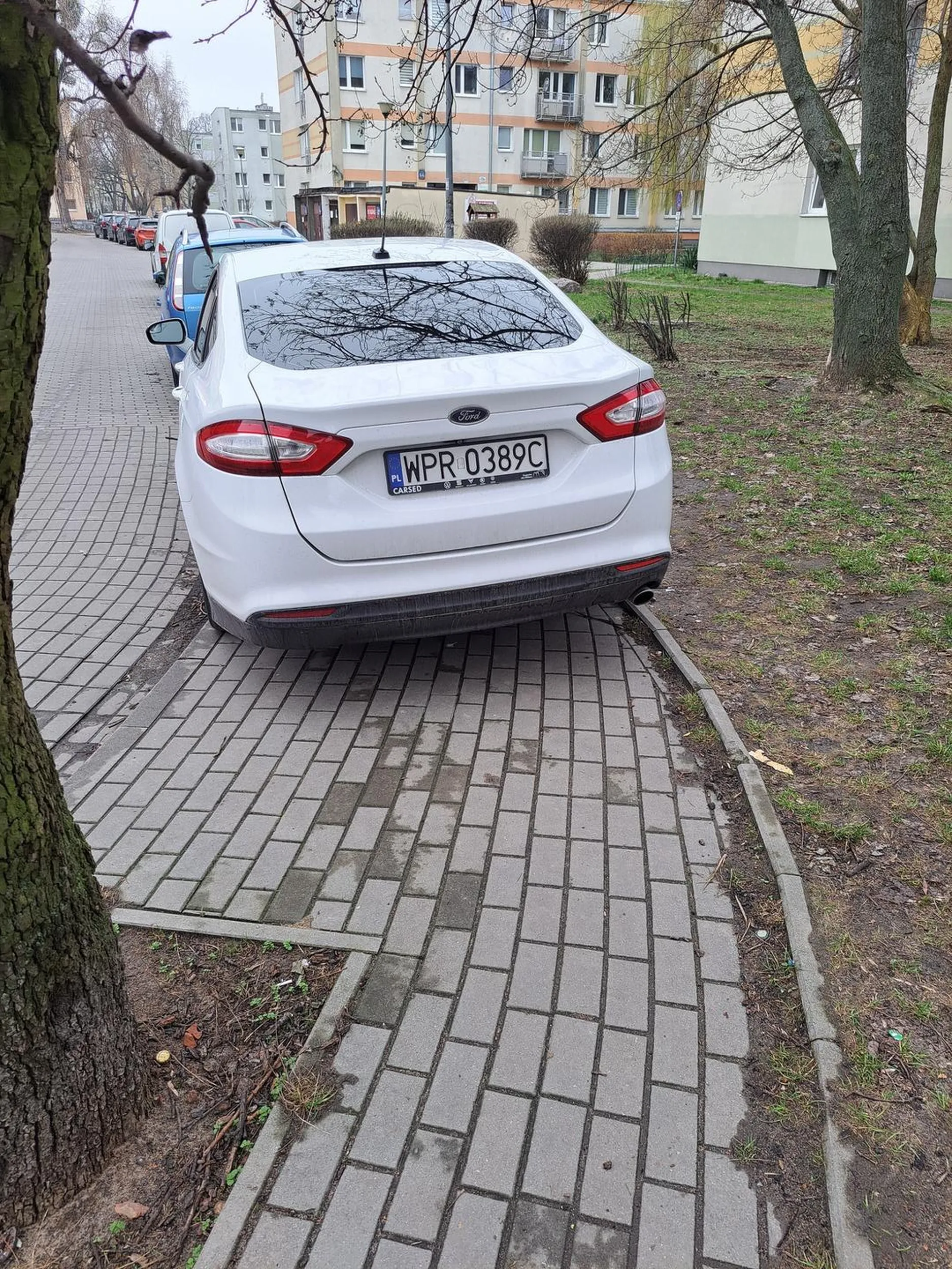 Mistrz parkowania na chodniku