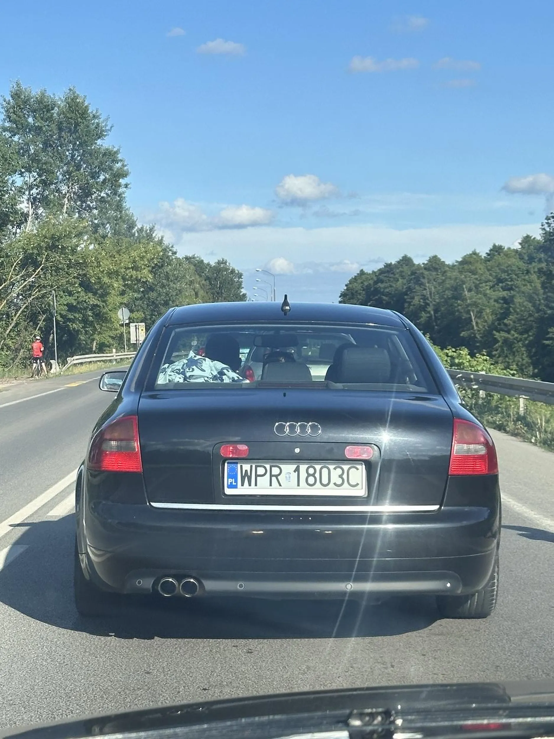 Naucz się jeździć bucu. Wyprzedzasz na zjeździe z ronda na podwójnej ciągłej na trzeciego z trzema córkami z tyłu i żoną z przodu tylko po to aby stać przez 20 minut w tym samym korku przede mną. Nie przeprosisz, nie podziękujesz, że dałem ci się wpierdolić przede mnie i uniknąłeś czołowego. Gratuluję. Mam nadzieję, że jesteś faktycznie upośledzony bo to jedyne wytłumaczenie twojego zachowania.