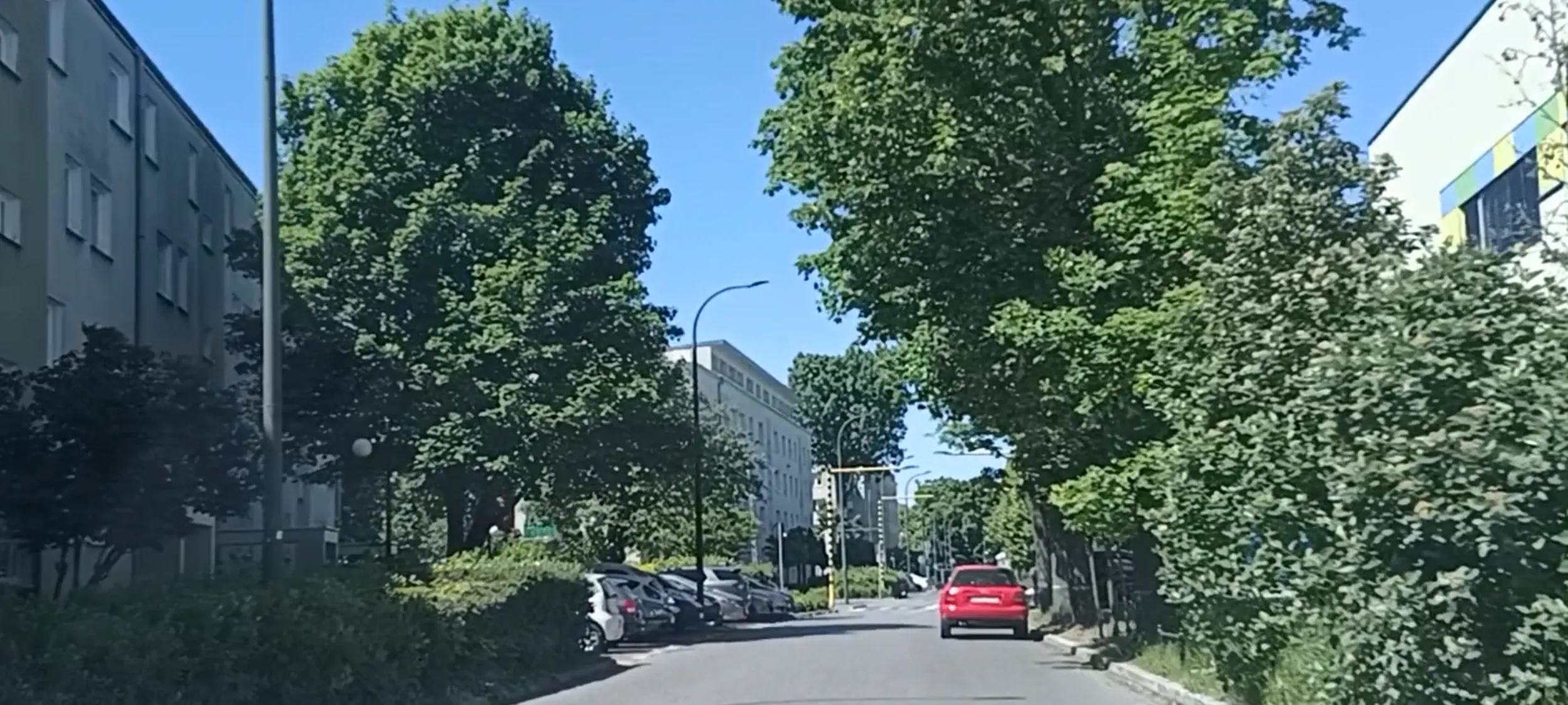 Dzikus parkuje na ulicy gdzie jest zakaz zatrzymywania się i postoju B-36