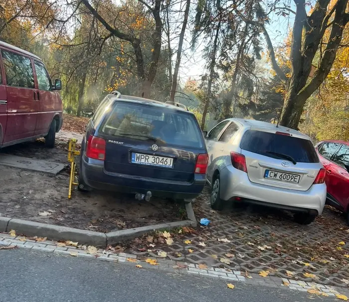 W pełni zasługuje na nagrodę otrzymaną od straży miejskiej ? gratulacje