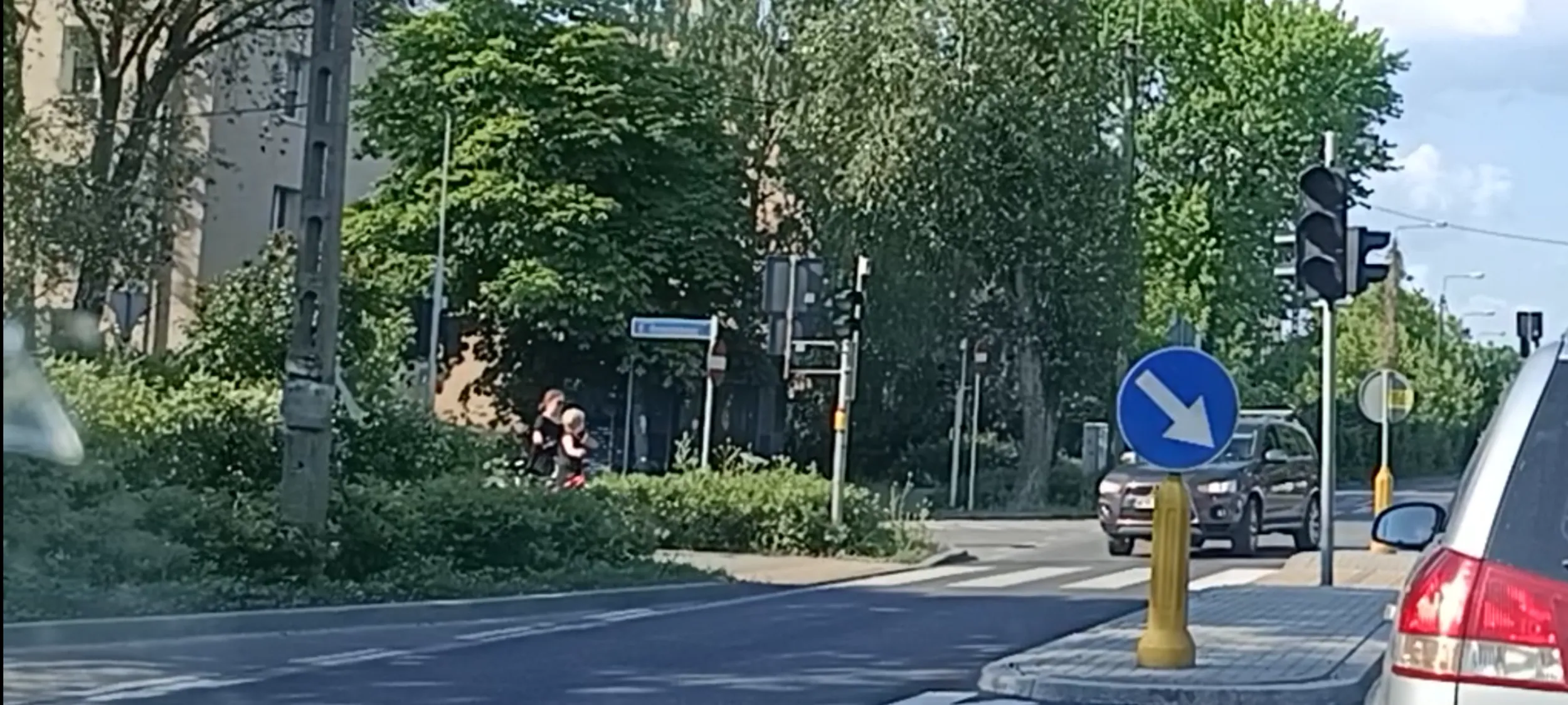 Baba Bandyta drogowych nie ustępuje pierwszeństwa pieszym na przejściu dla pieszych i przejeżdża im przed nosem ... Kiedyś baba bandyta kogoś zabije .