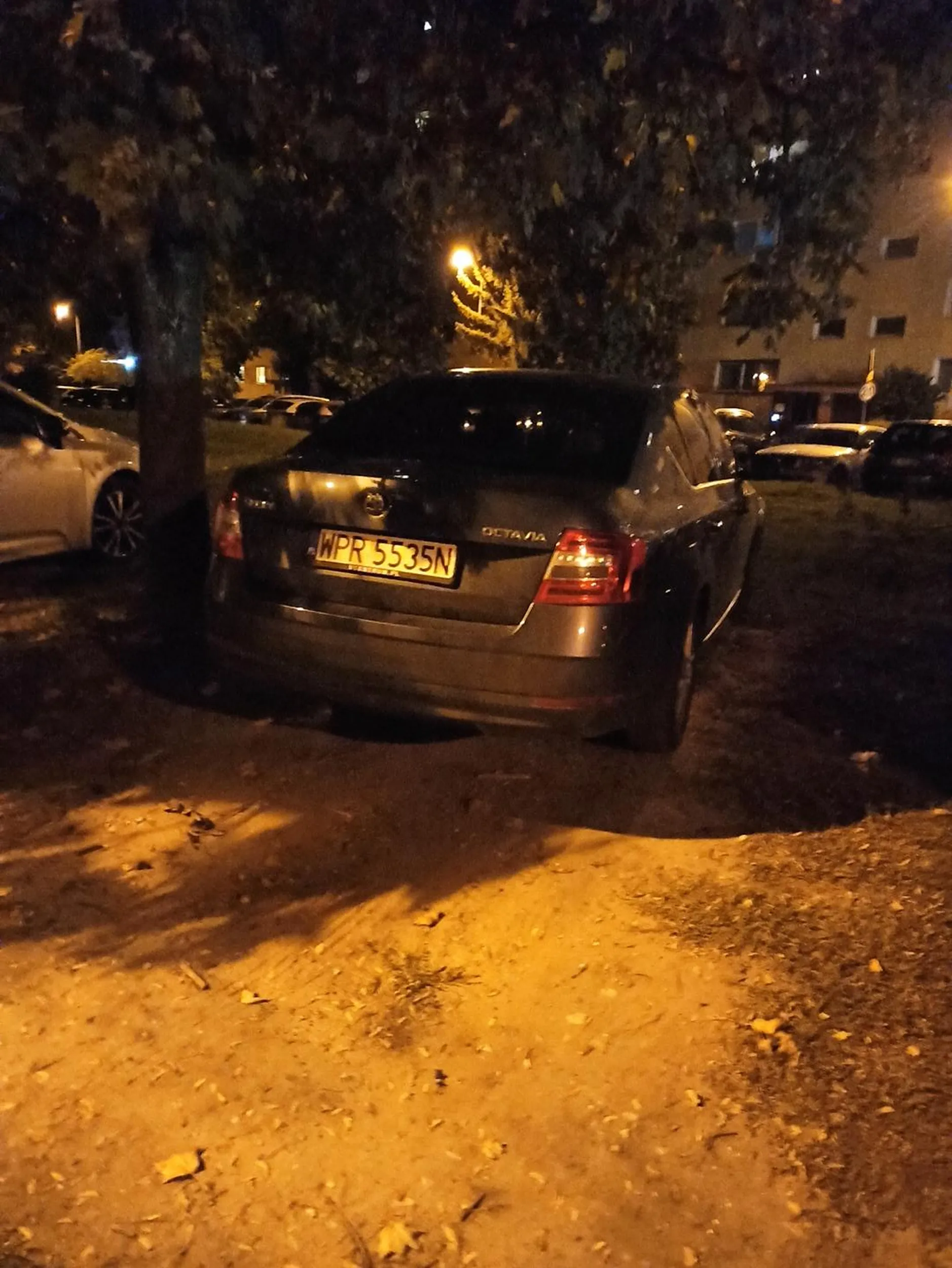 Piotrków Trybunalski. Bezmyślna dewastacja trawnika!