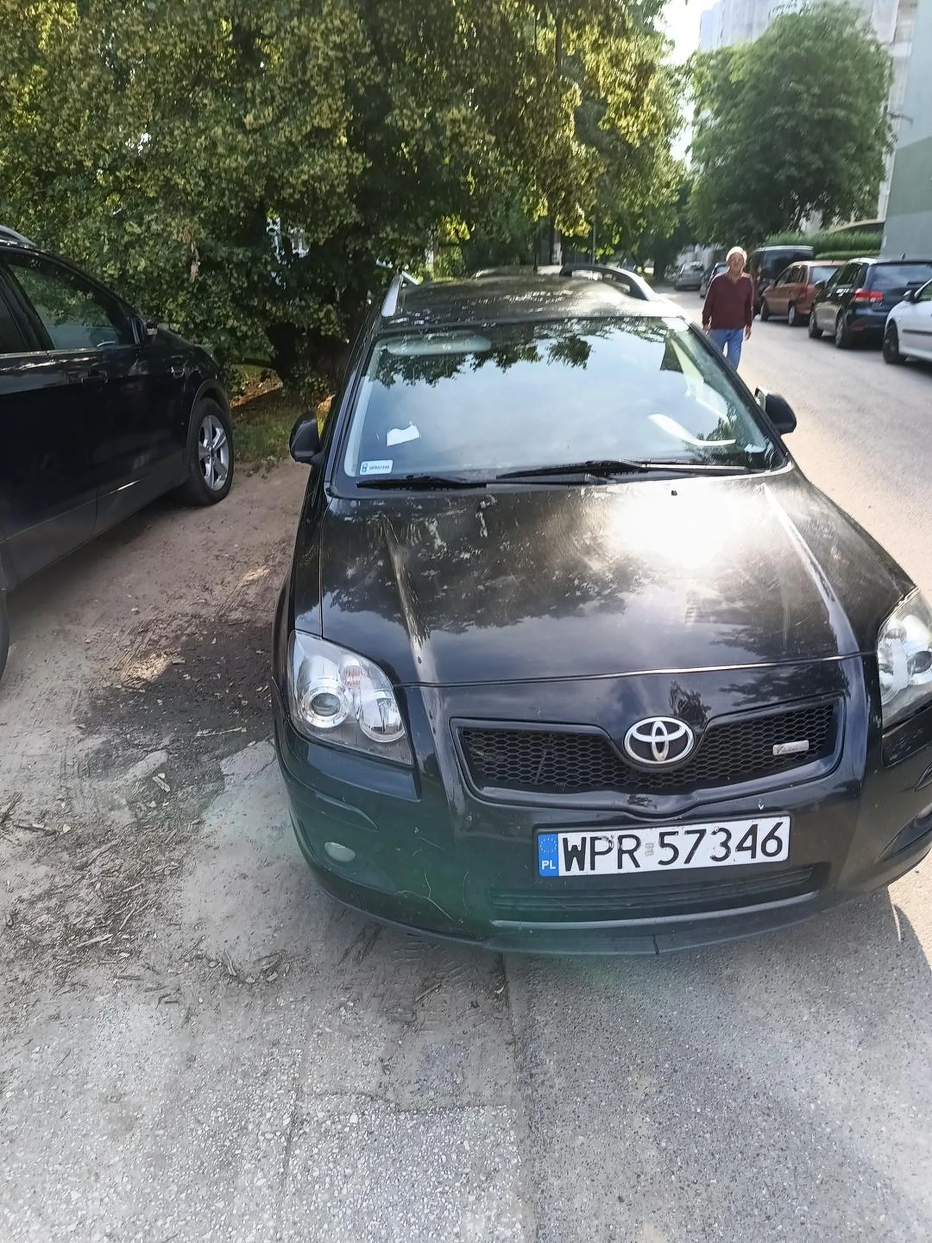 Cham parkuje na zieleni miejskiej, niszczy trawnik, butami wydeptuje w psie kupy