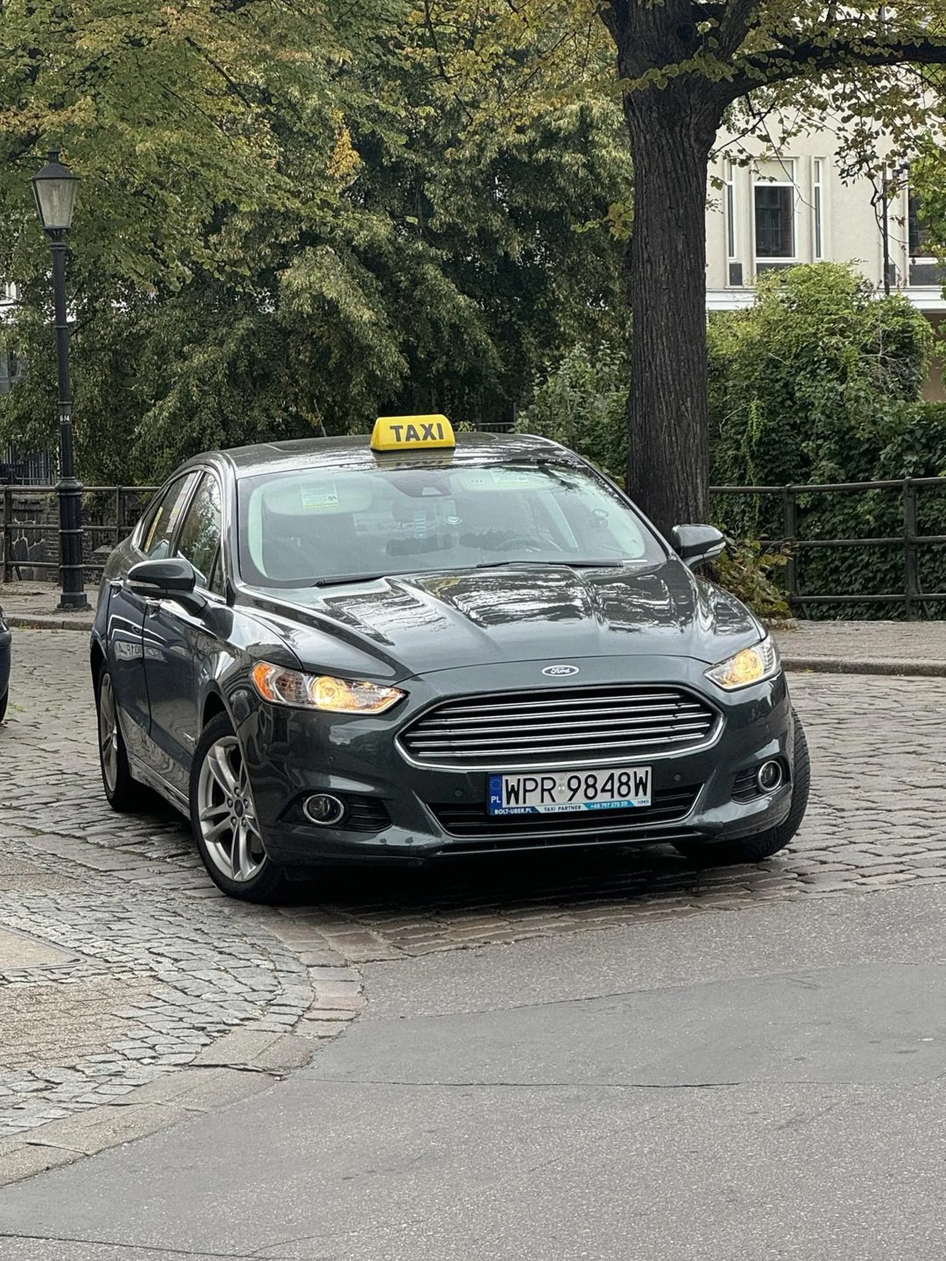 pacan złotówa co zastawia droge