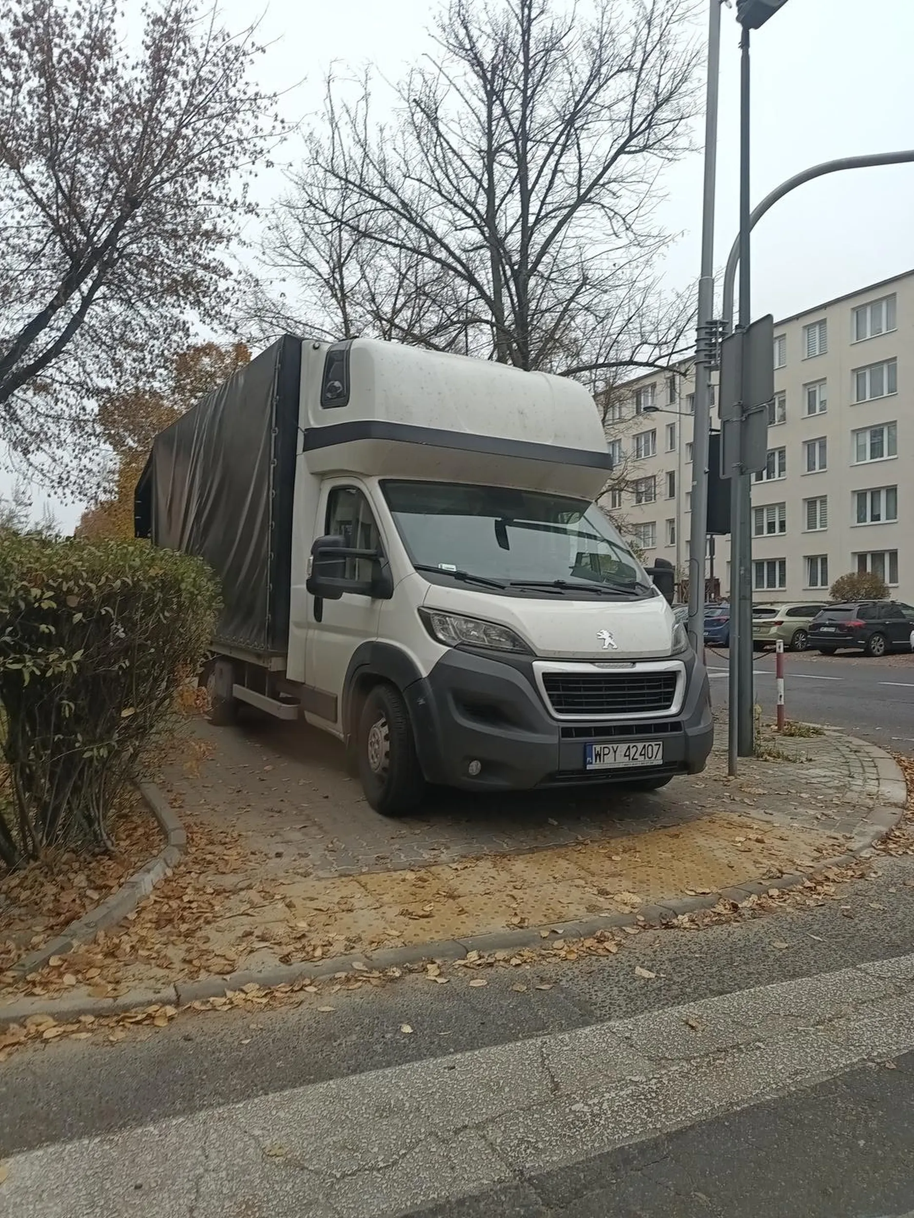 Tak zaparkował na chodniku przed przejściem dla pieszych. Bajobongo parkowania.