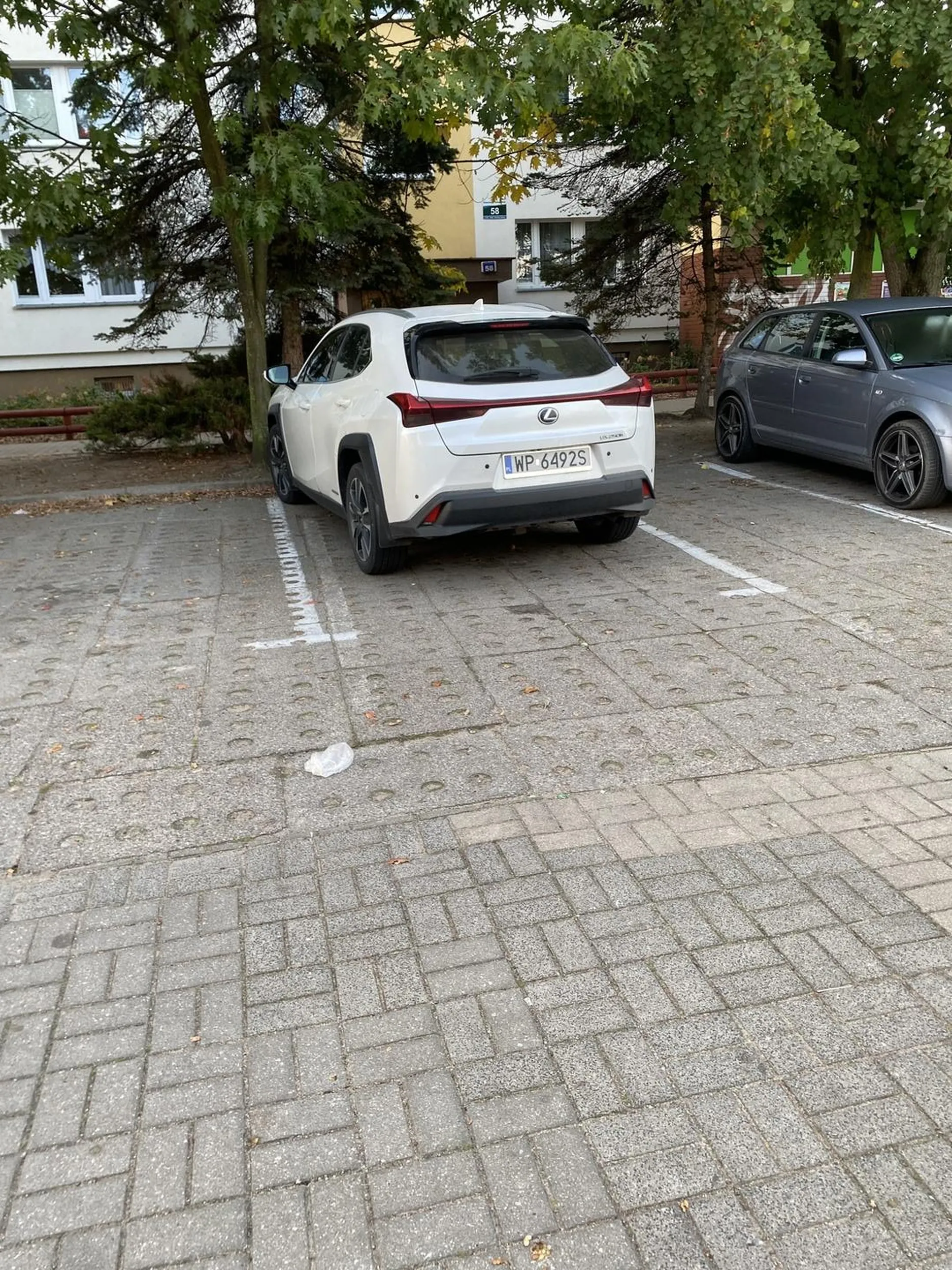 Ewidentnie starsza kobieta powinna oddać prawojazdy