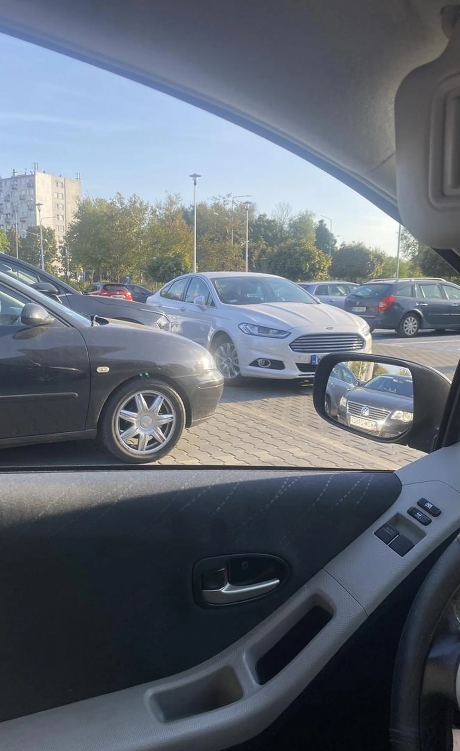 Kostrzewa parkowania