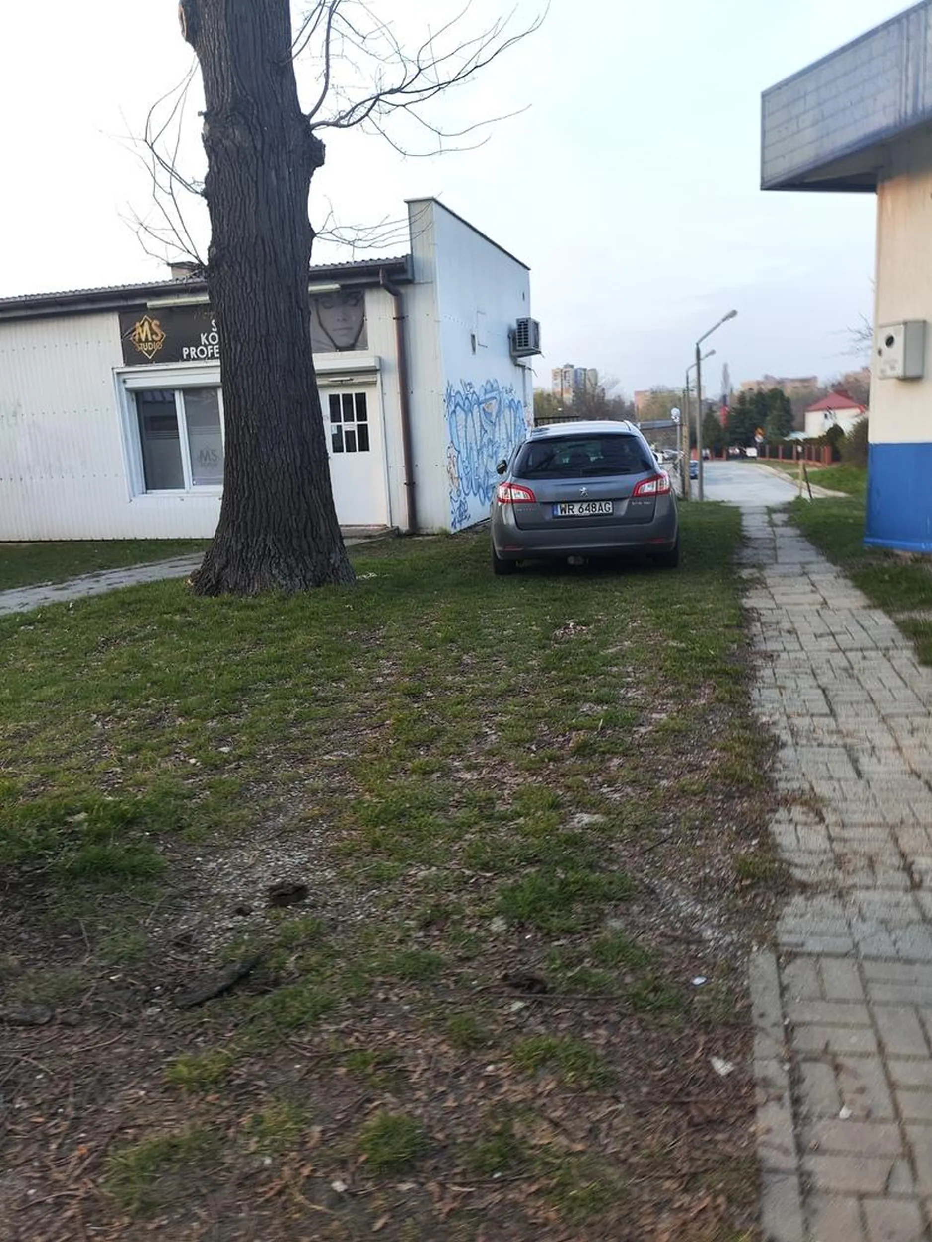 Jazda po chodniku, niszczenie zieleni...