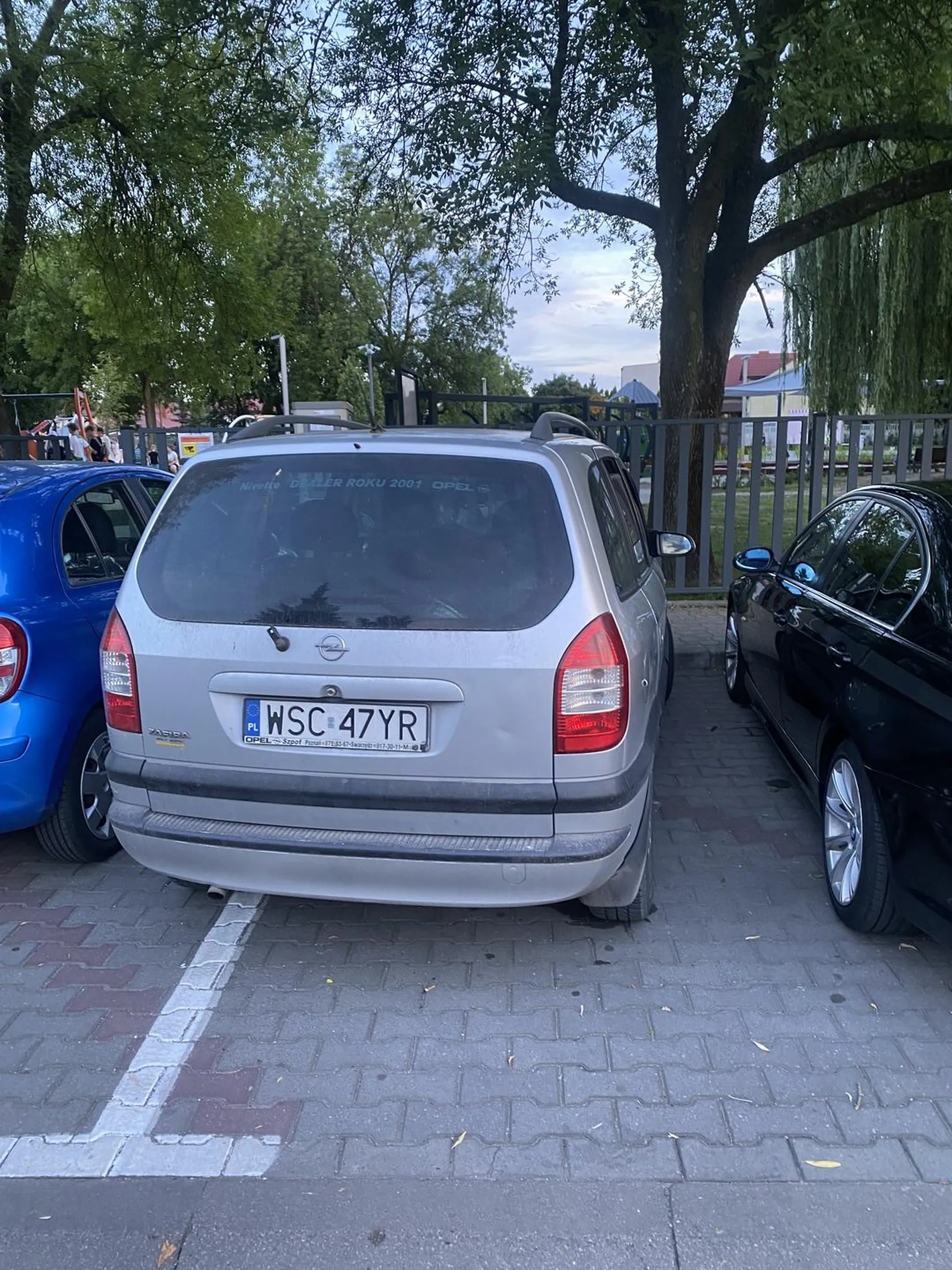 Zjeb bez mozgu nie posiadający umiejętności parkowania