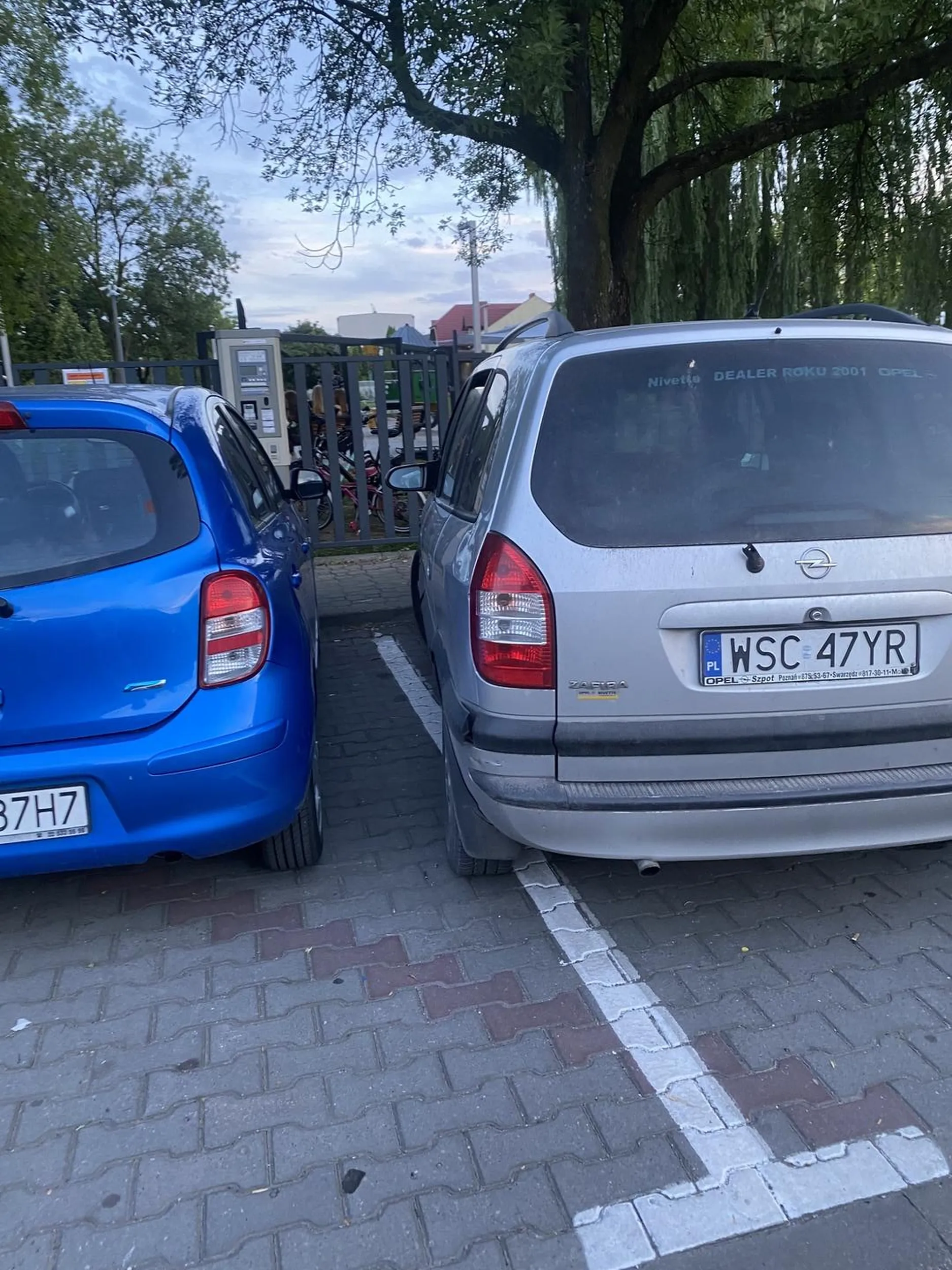 Zjeb bez mozgu nie posiadający umiejętności parkowania