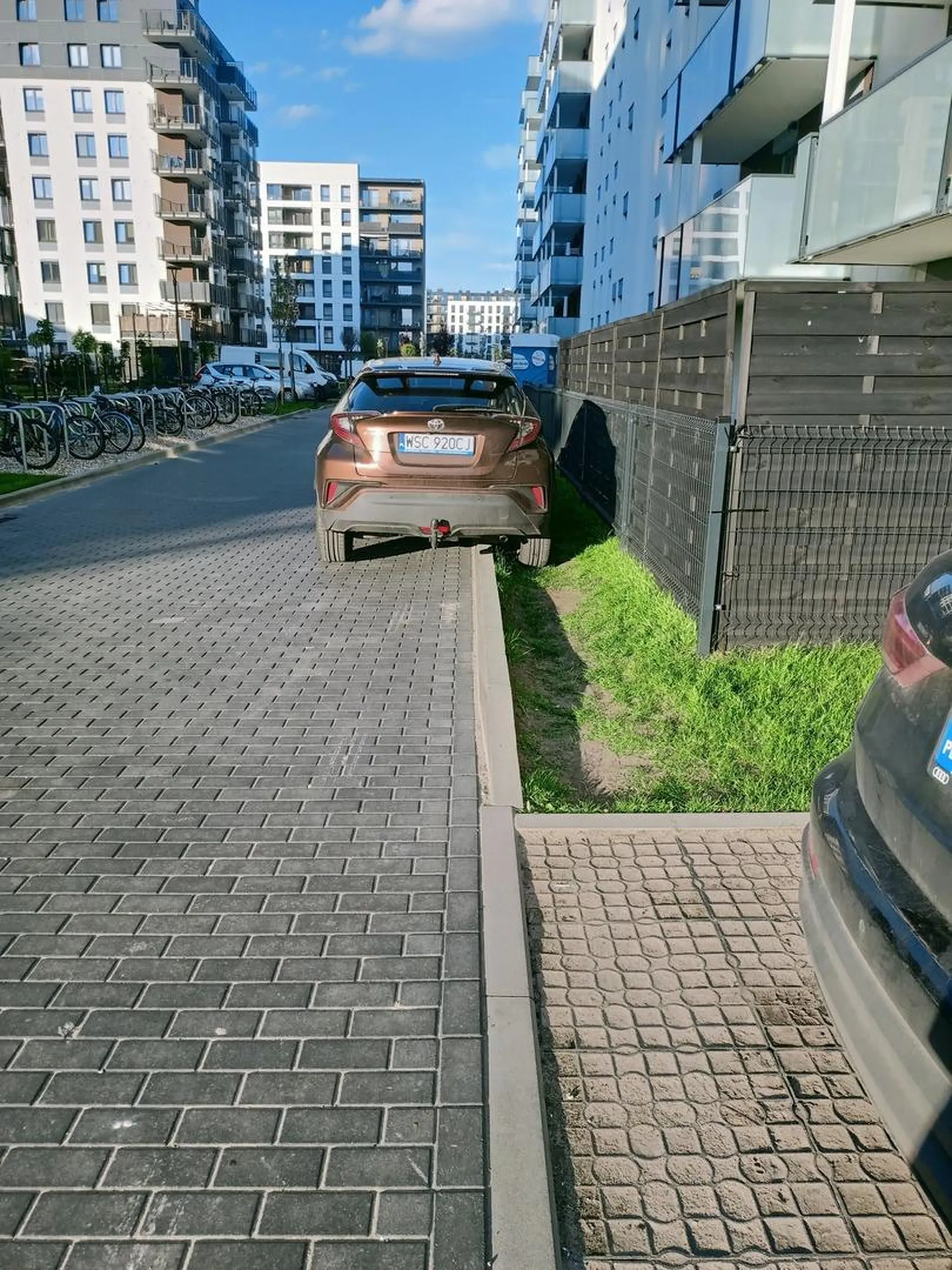 Nie pozdrawiam osobę, która niszczy nasz trawnik. Nie mamy dużo zieleni, więc szanujmy to co mamy!!!