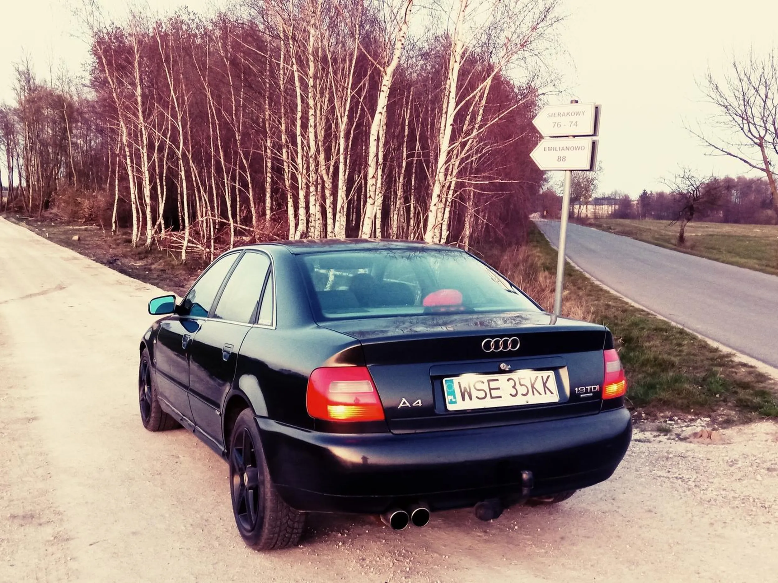 Bardzo fajna Audi i jeszcze piękniejszy kierowca pozdrawiam ? zdjęcie z tik Toka tego pana