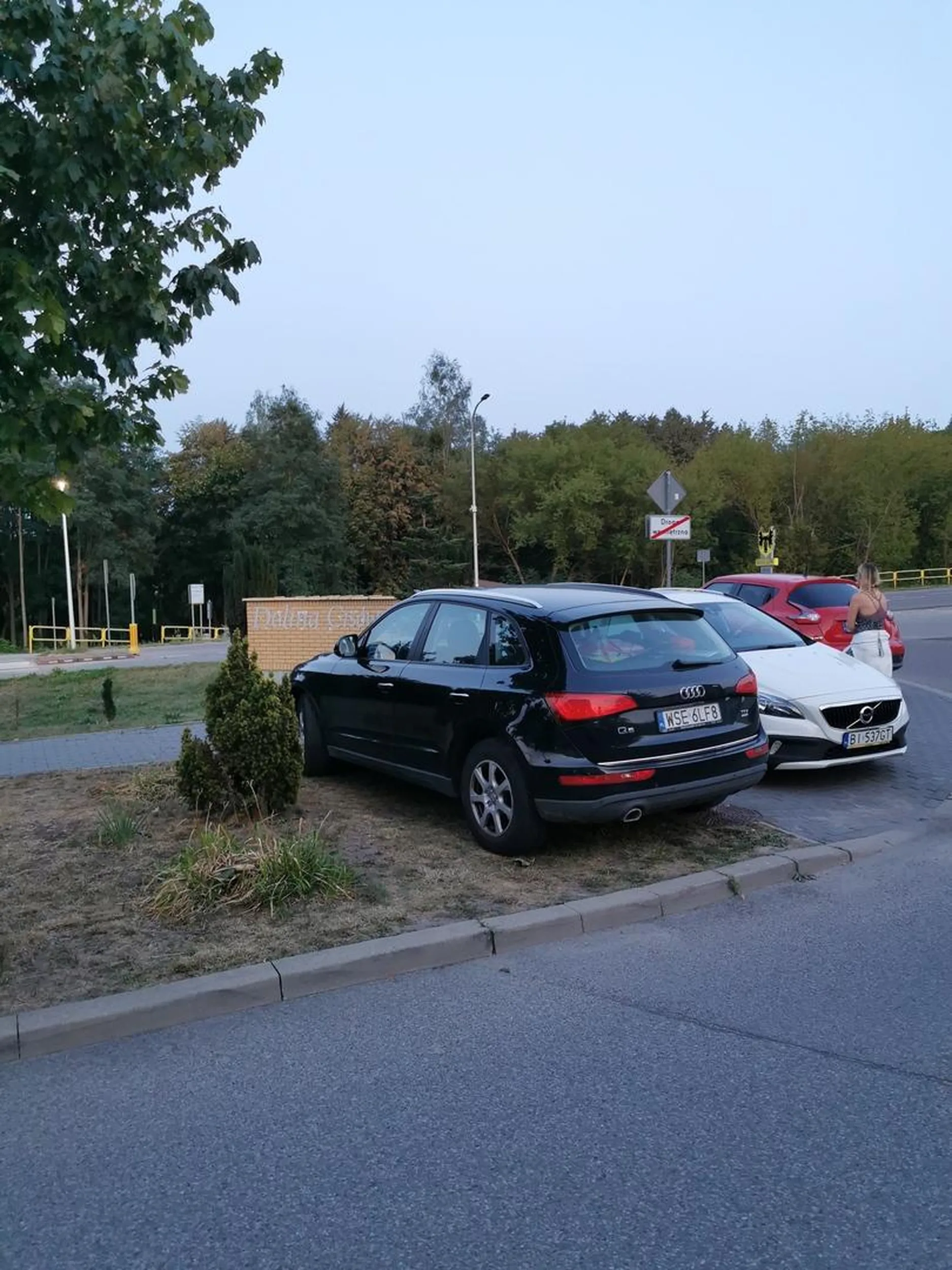 Matoł stawia na trawie.