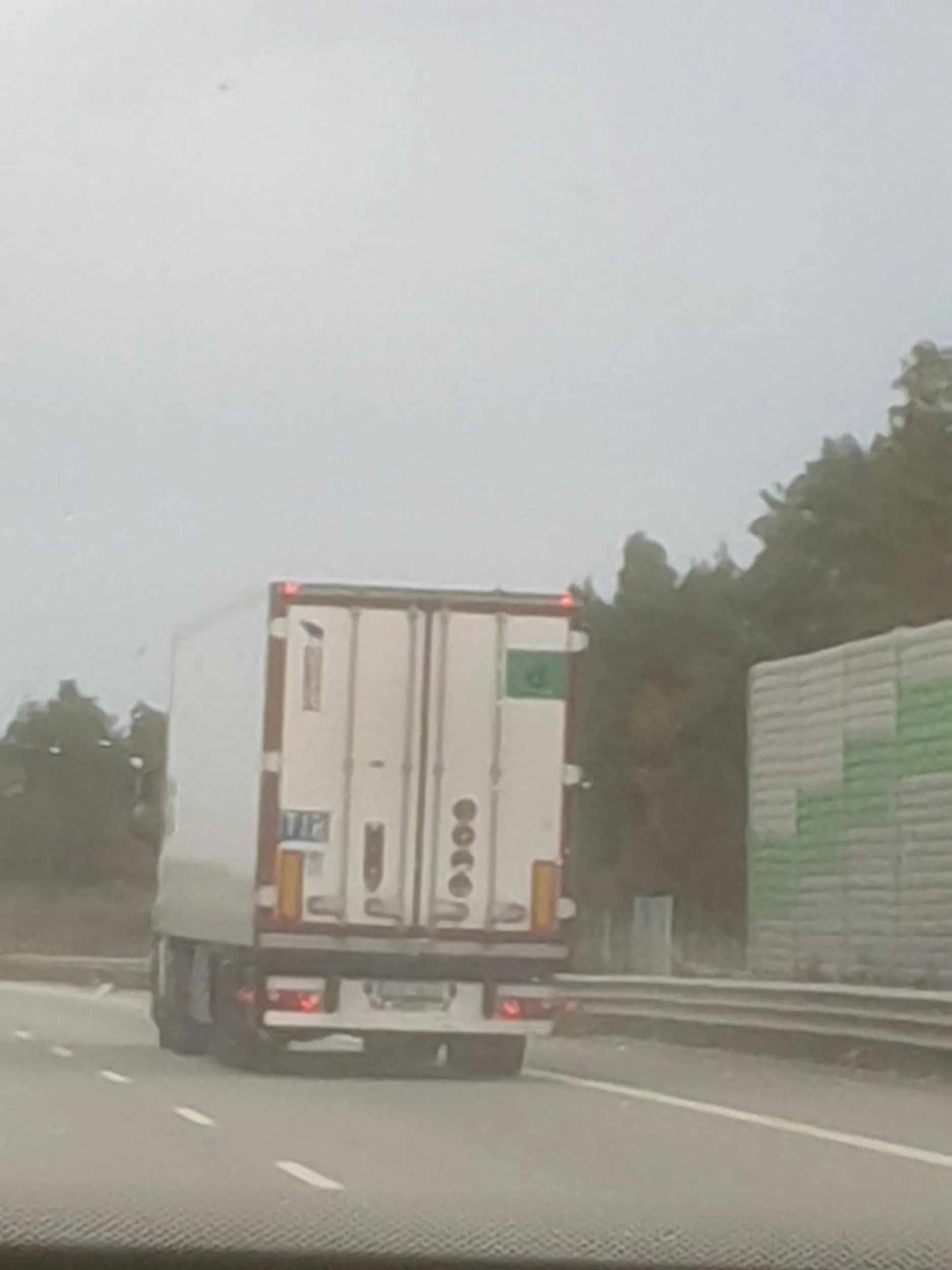 Pokazuje choj środkowy palec