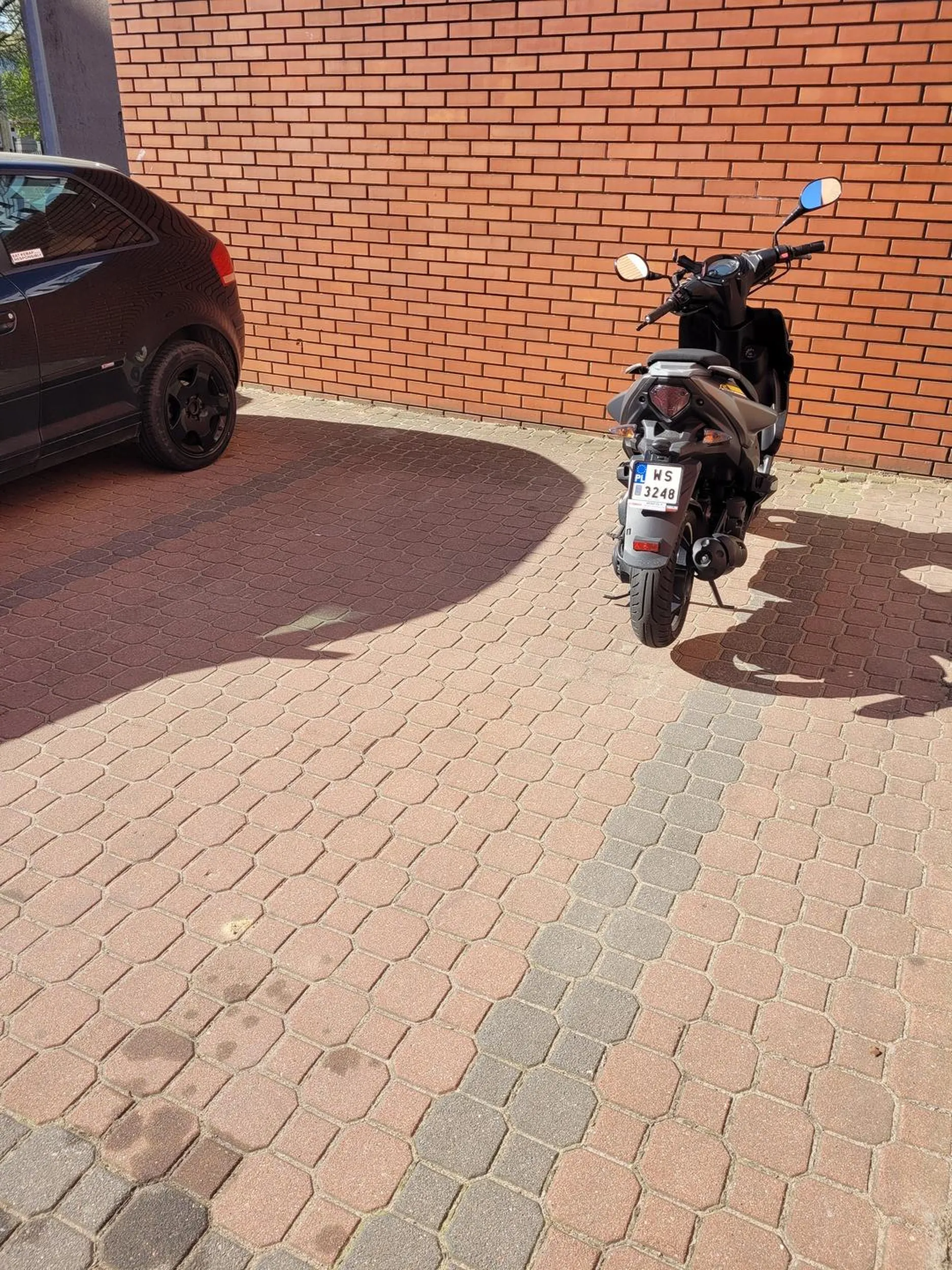 Ciota nie umie parkować