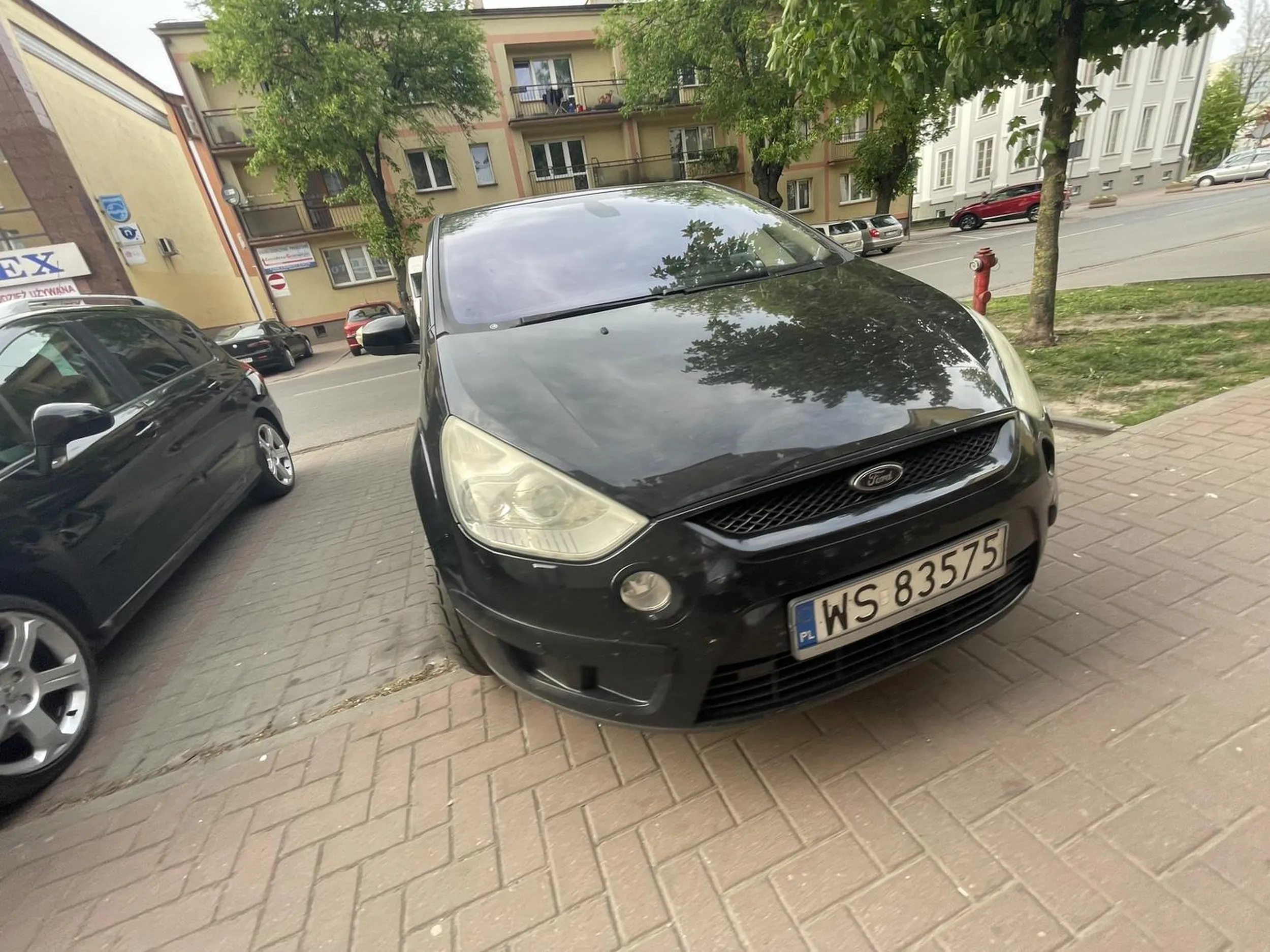 Mistrz Parkowania powinnismy wszyscy brać przykład