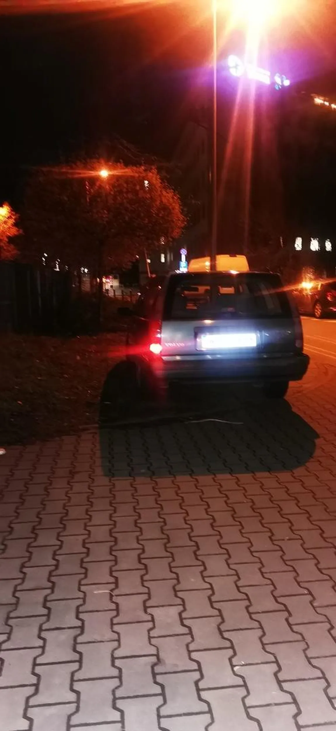 Właściciel pojazdu najwyraźniej nie wie iż słupki postawione są po to by tam nie parkować. Zwłaszcza na terenie zielonym.