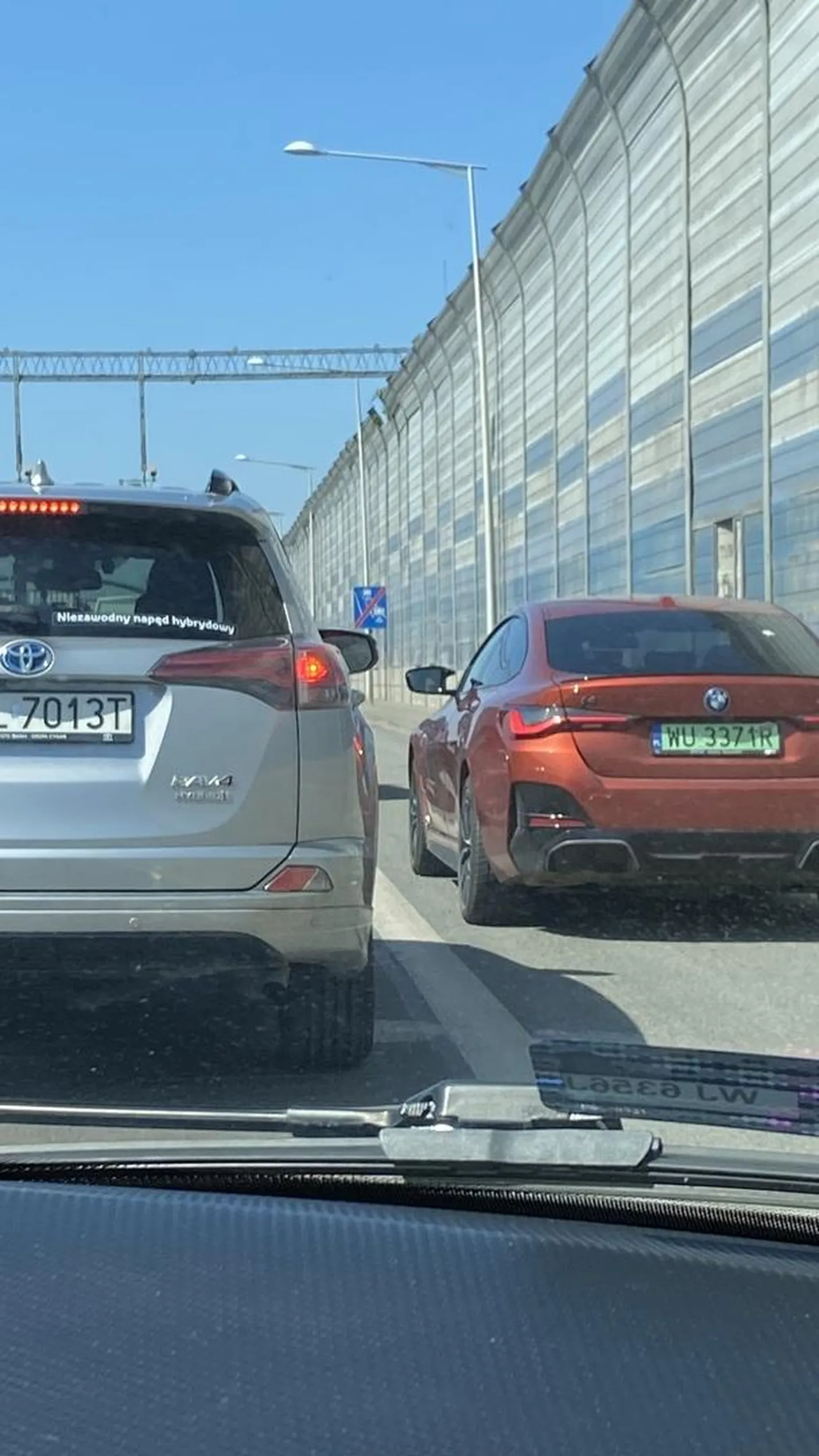 Przedstawiciel rasy BMW. Jeździ dodatkowym pasem bezpieczeństwa.