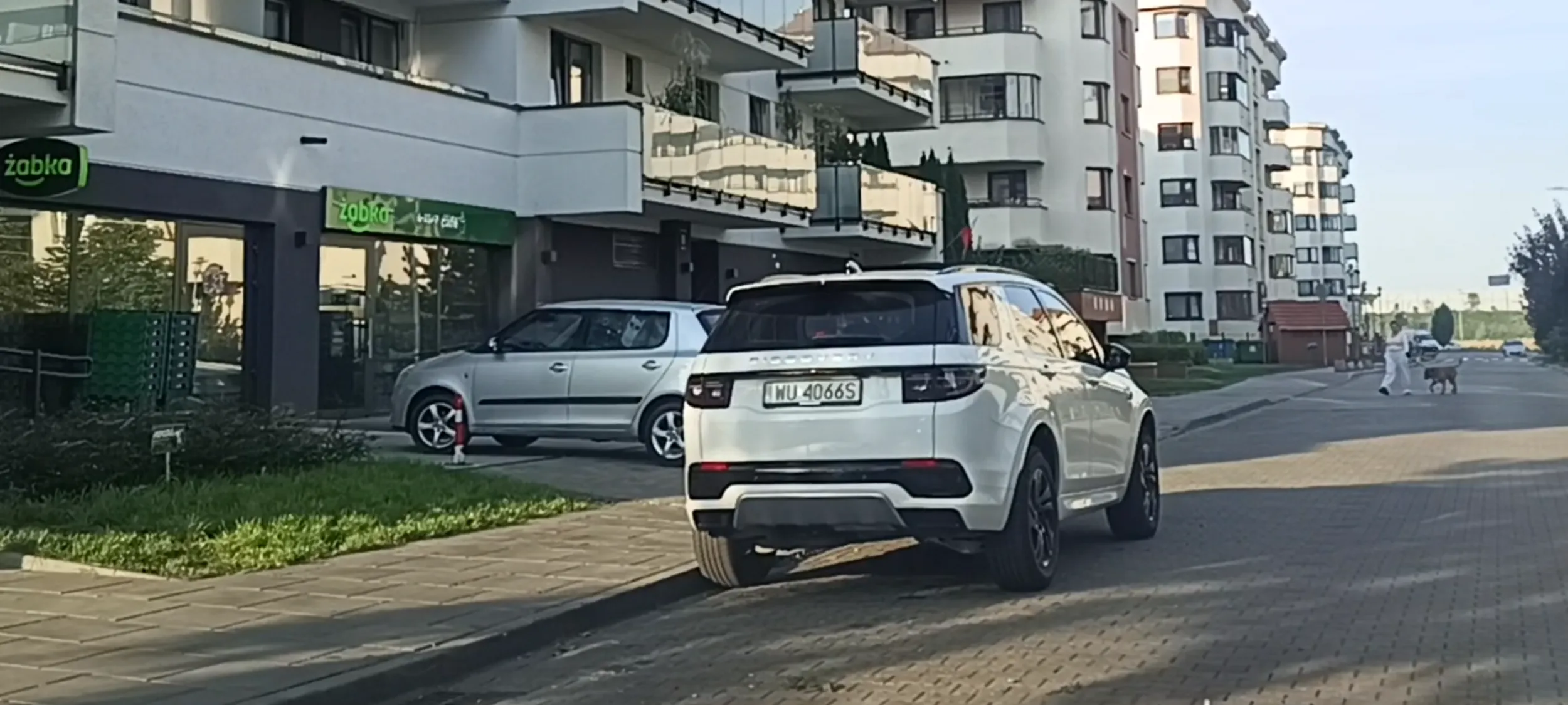 Menda stoi na ulicy gdzie jest zakaz zatrzymywania się i postoju
