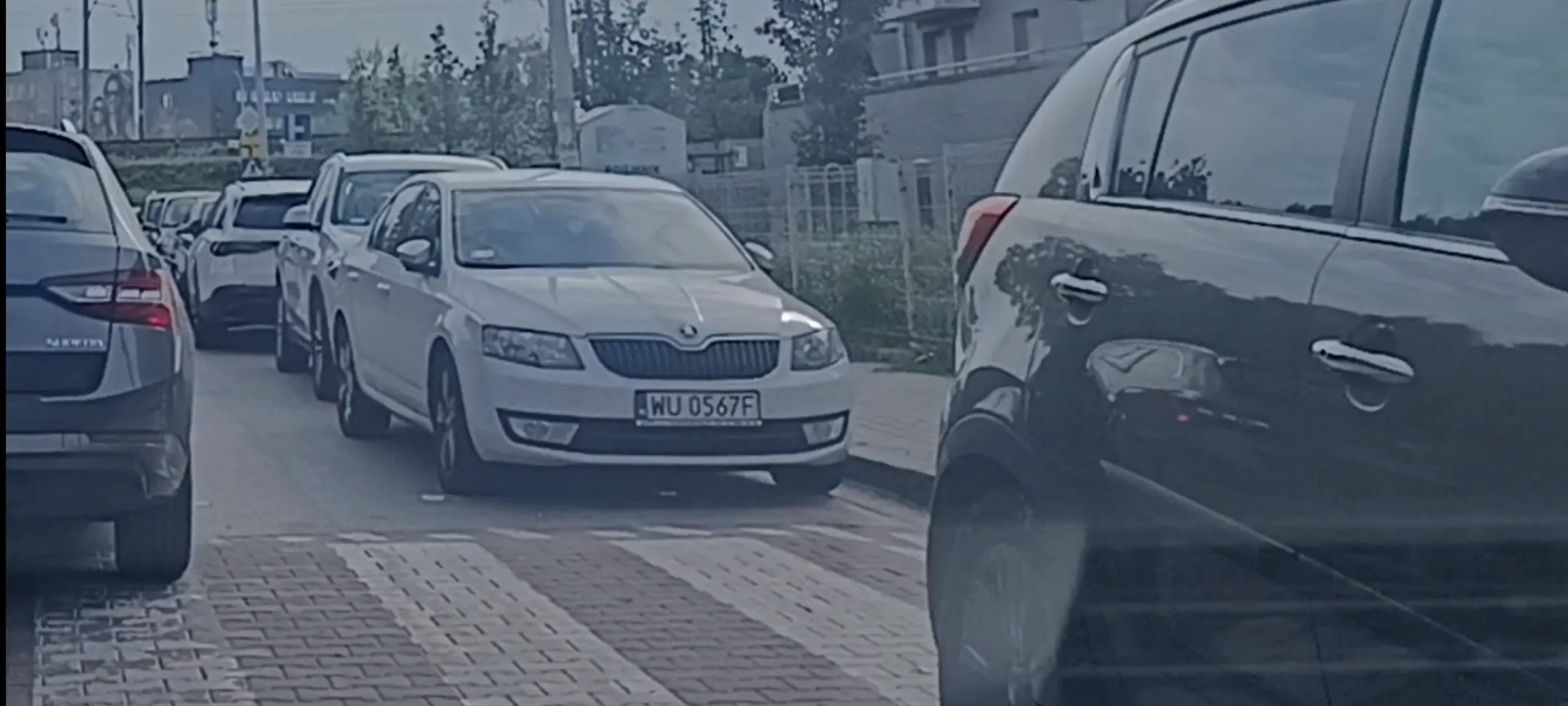 Niedozwolone Pato Parkowanie przy przejściu dla pieszych