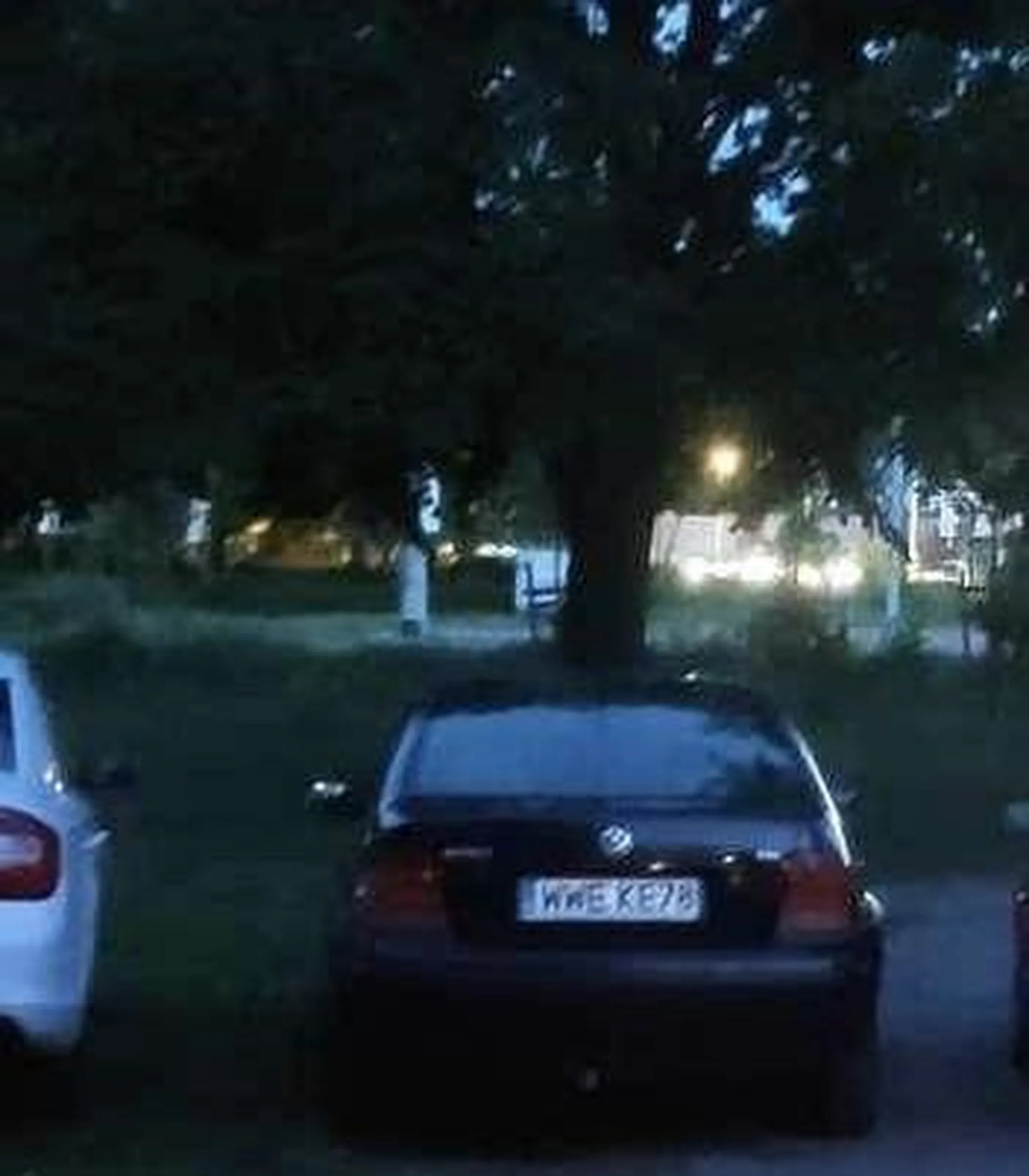 Jadę se jadę samochodem spalinowym i jak żem zobaczył ten mobil to z fotela wypadłem, pasy się wypięły no szok i niedowierzanie. Chłop wziął se stanął jak poranna sztyca i parking mi zablokował, a akurat wracałem ze sklepu z mlekiem i dupa, dzieci mnie jednak nigdy nie zobaczą.