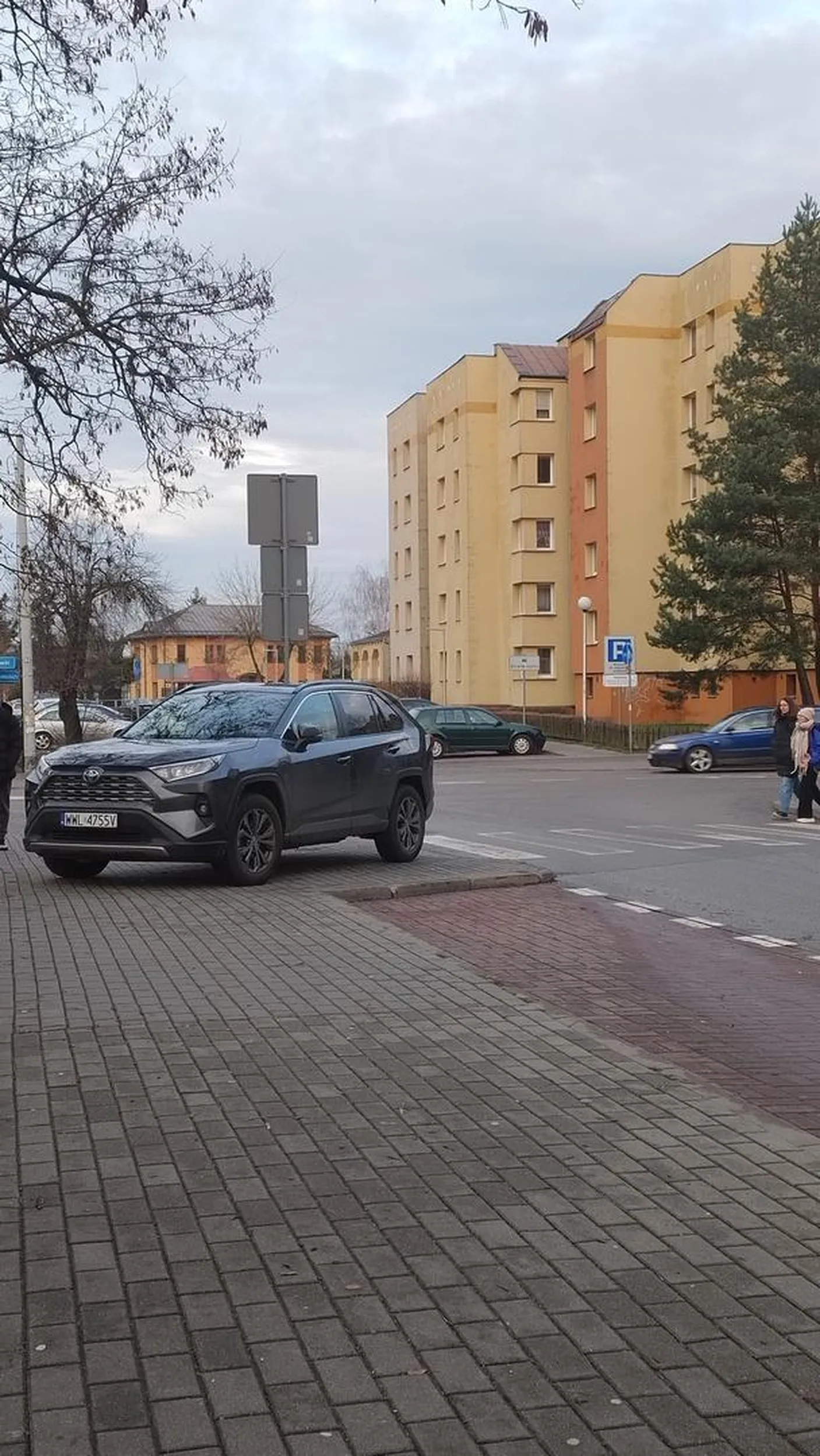 Pani staje jak prostytutka przy latarni, zablokowała przejscie dla pieszych i poszla w pizdu, nie pozdrawiam