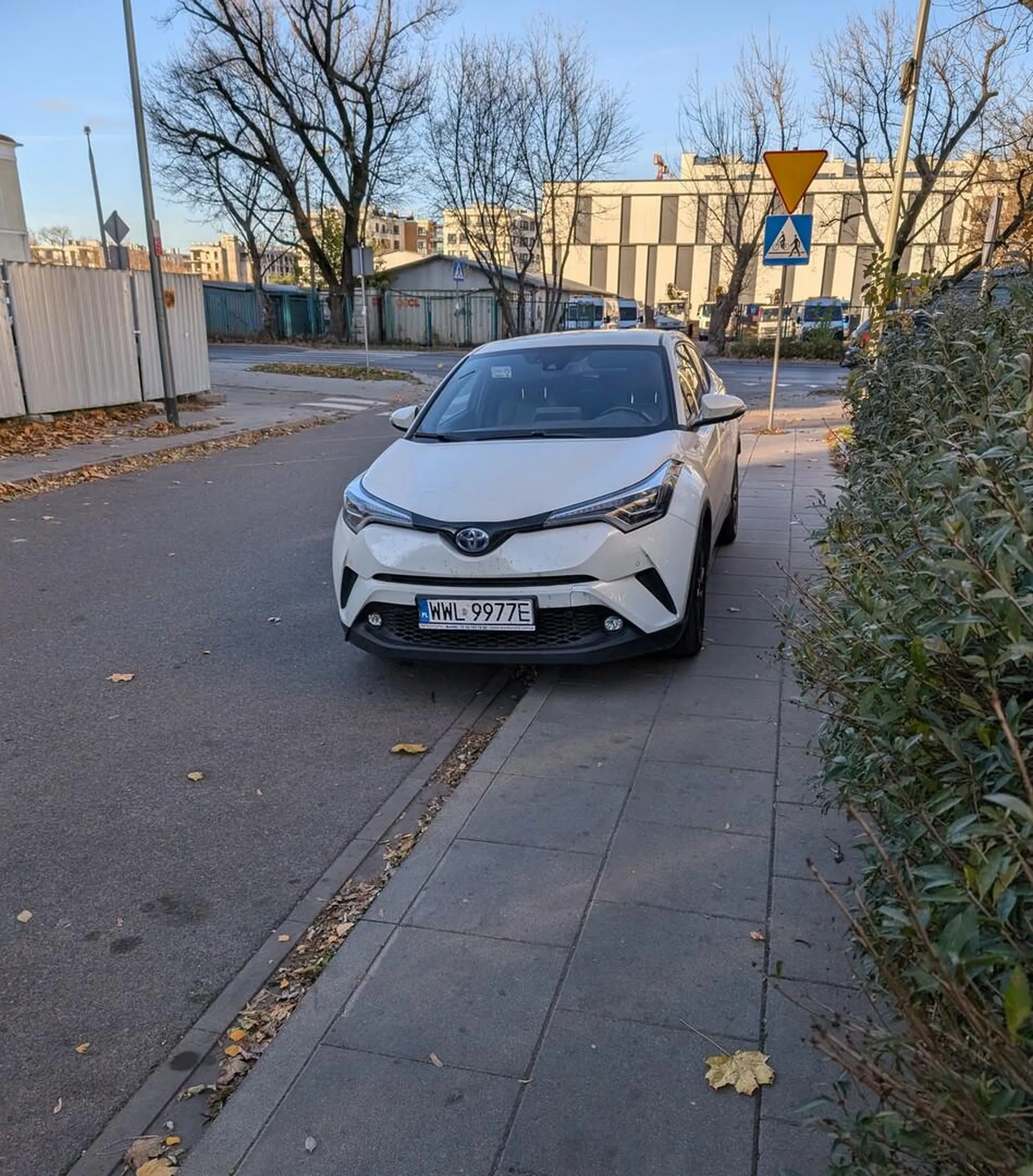 Rodzice z wózkami dziękują! Lubimy przeciskać się przez krzaki.