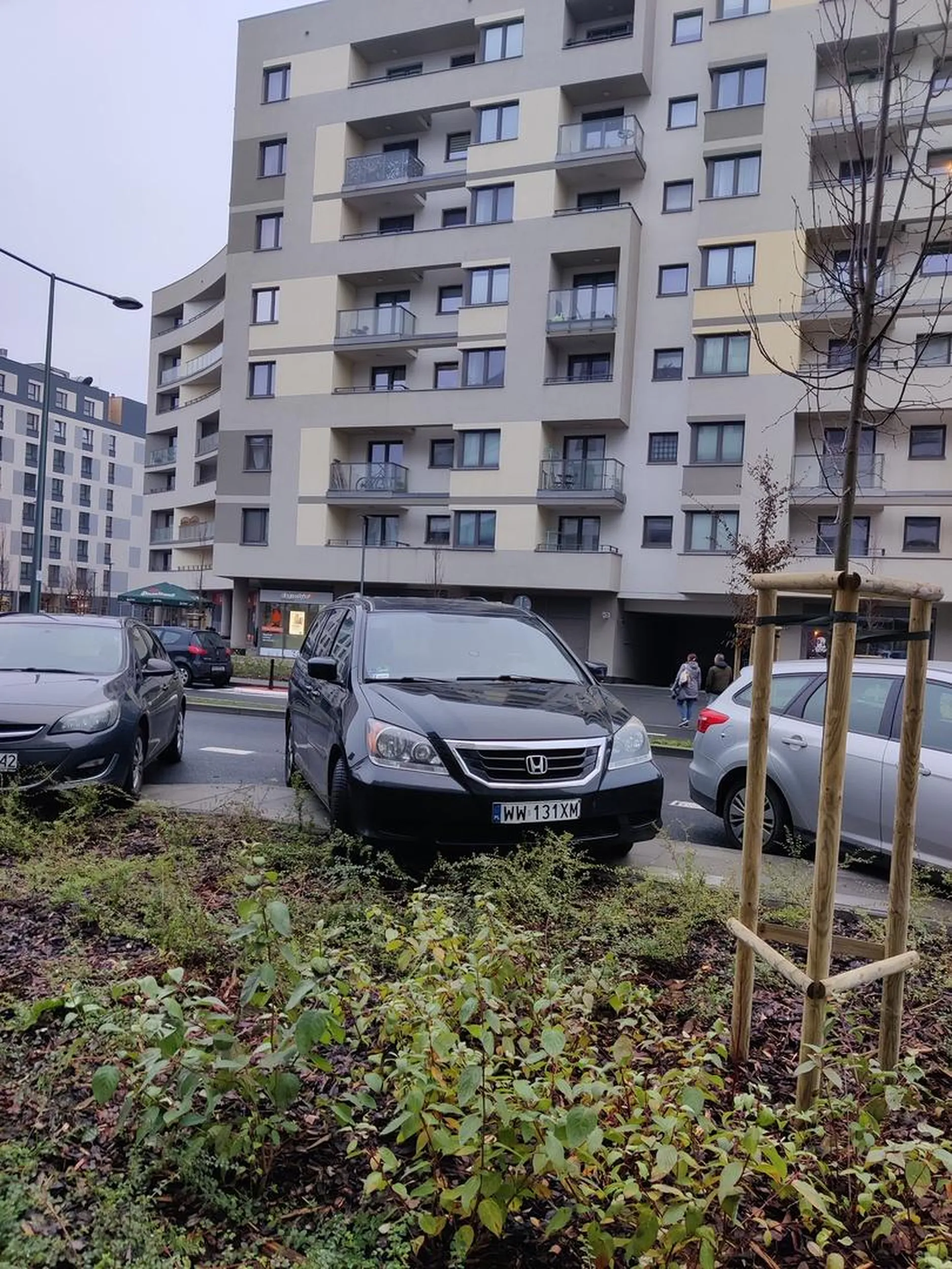 Pani na pytanie dlaczego niszczy zieleń odpowiedziała, że musiała tak zaparkować bo ma długie auto i by wystawało, w niszczeniu zieleni nie widziała problemu.