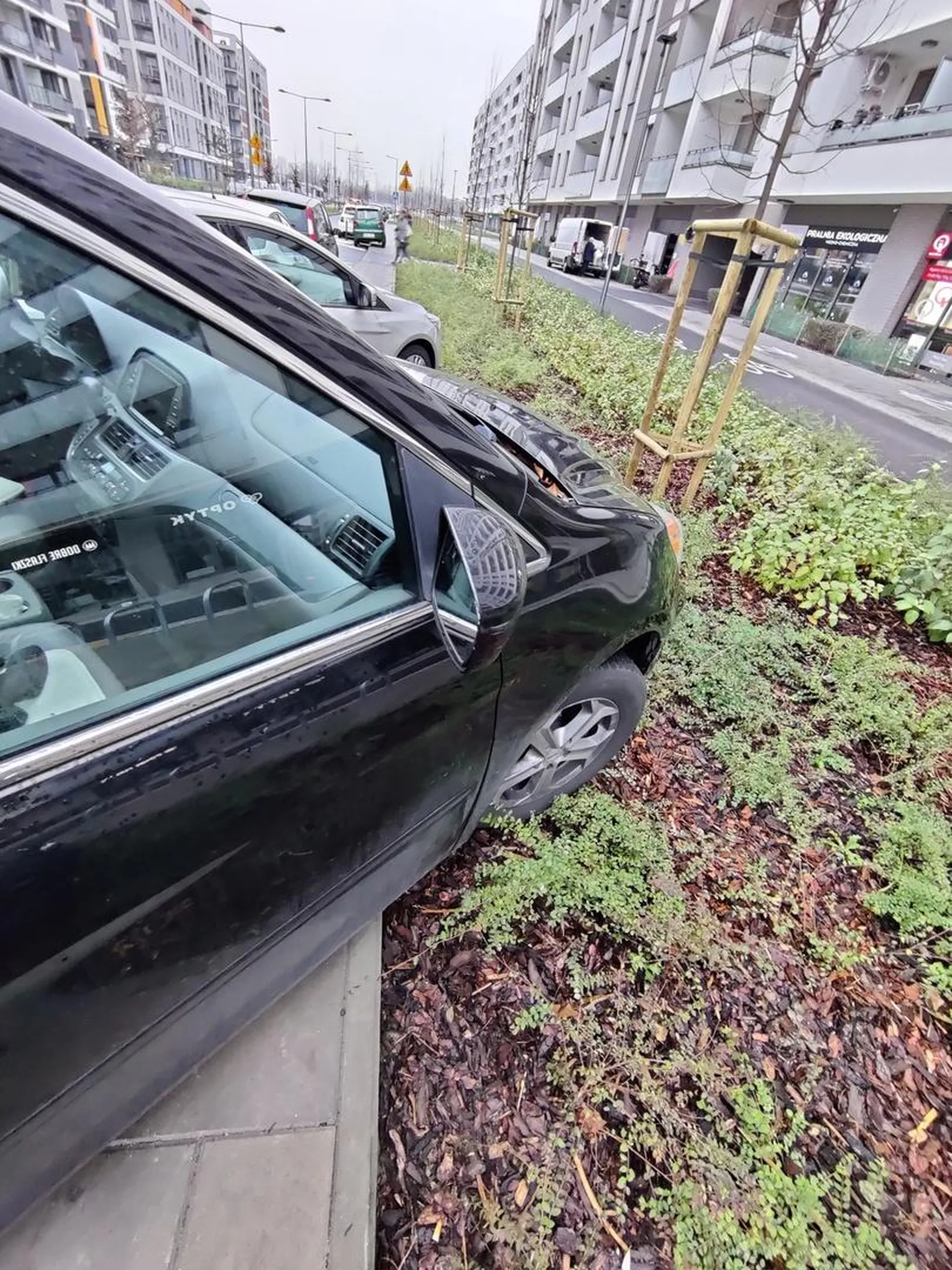 Pani na pytanie dlaczego niszczy zieleń odpowiedziała, że musiała tak zaparkować bo ma długie auto i by wystawało, w niszczeniu zieleni nie widziała problemu.