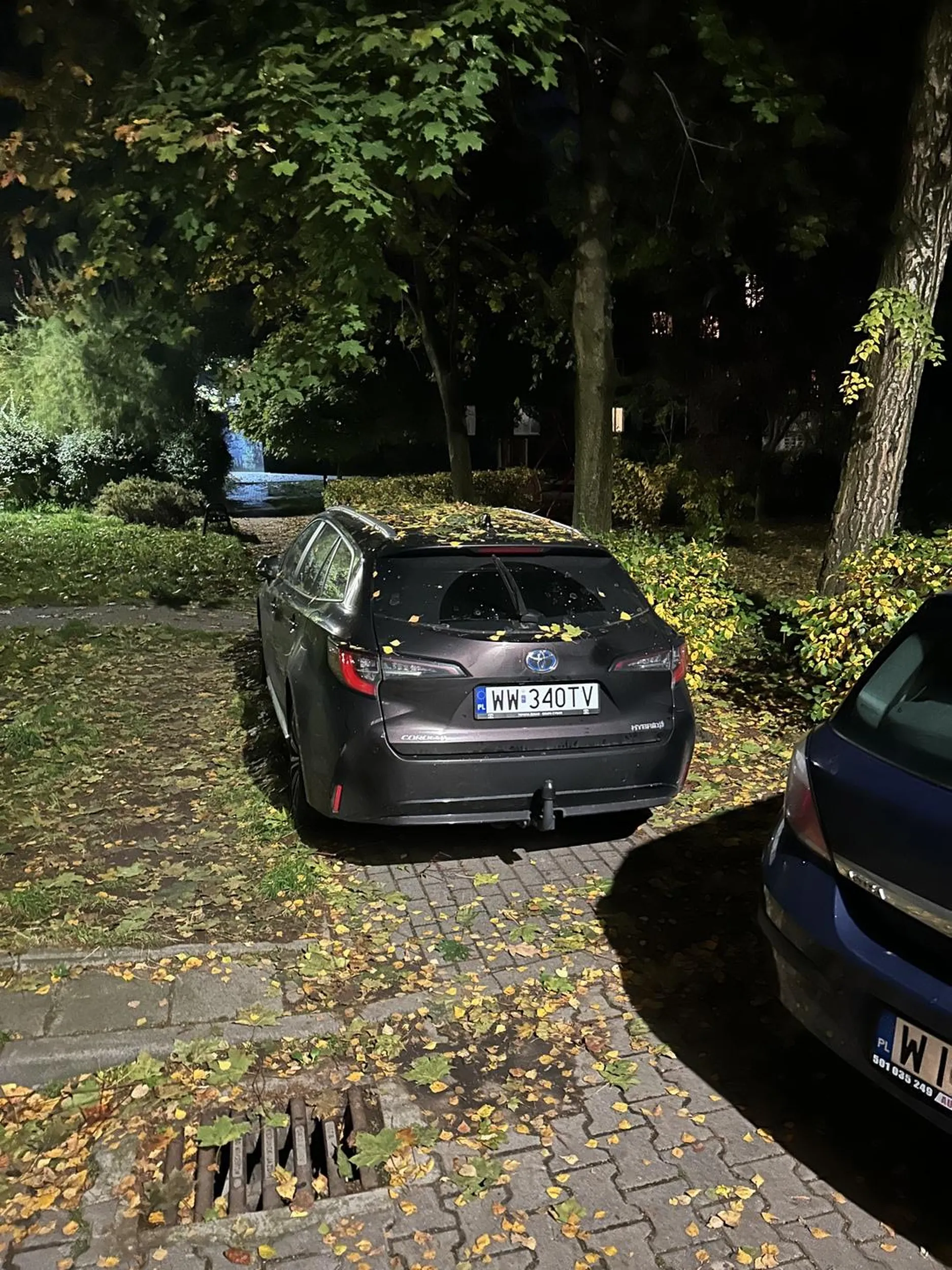 Nie umie parkować i stoi na chodniku