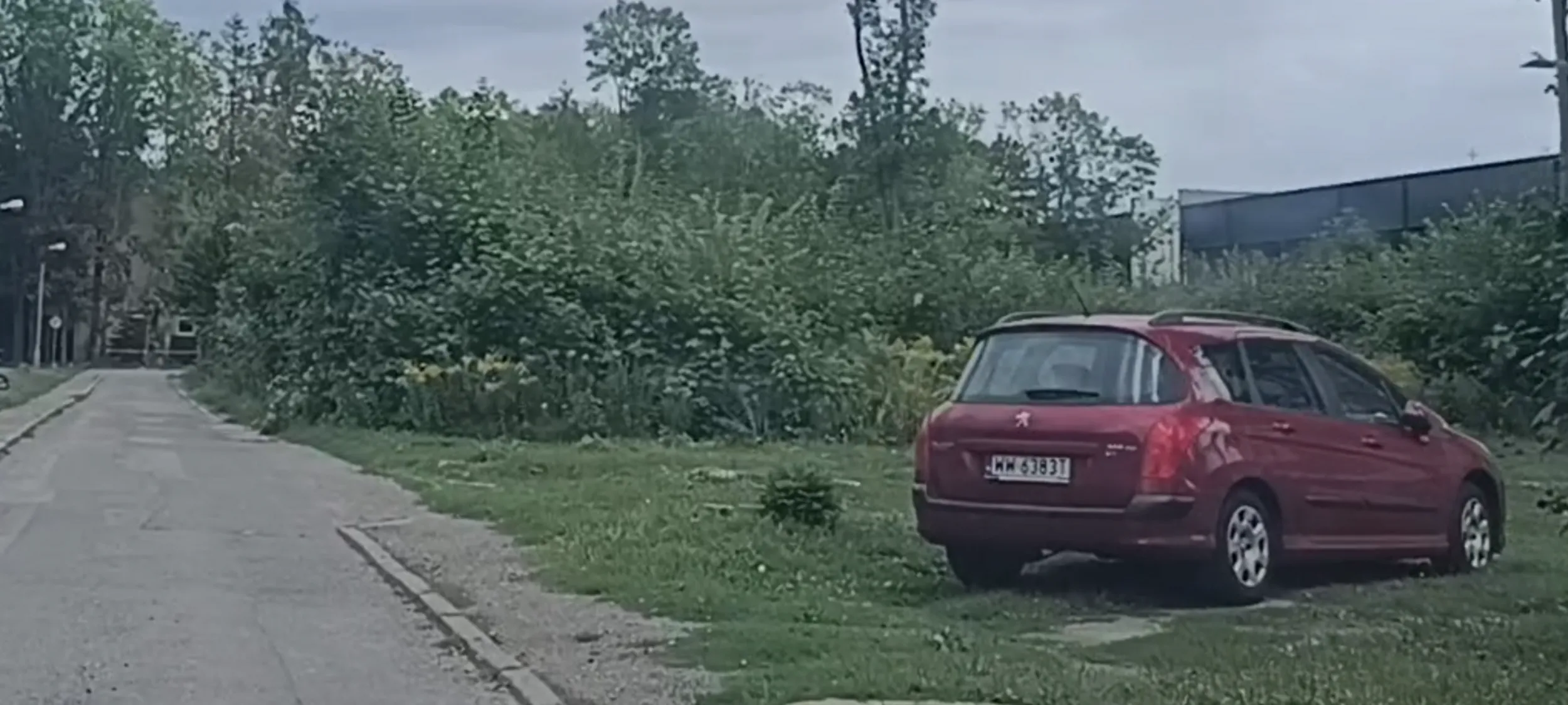 Pała za niszczenie trawniku!