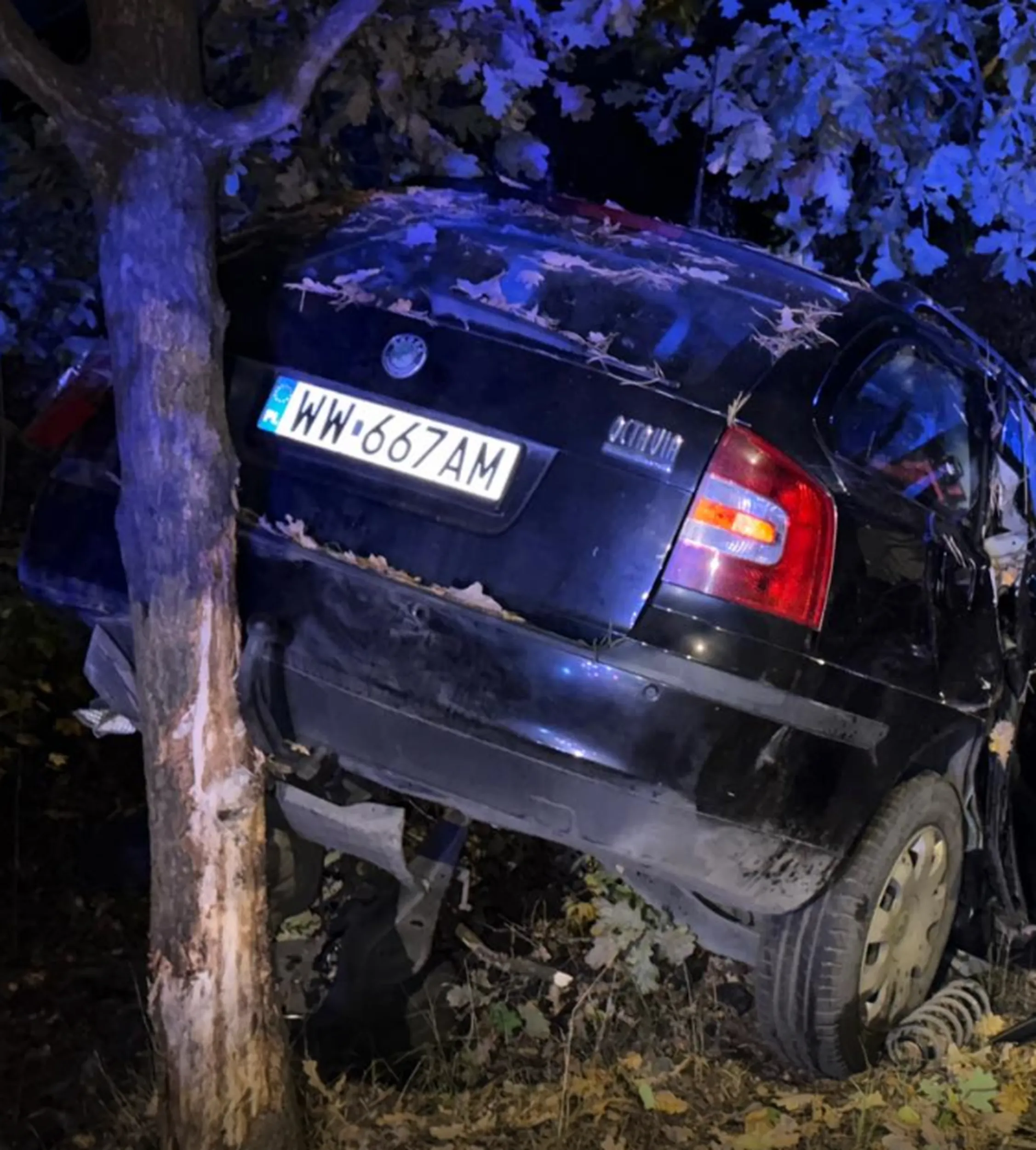 samochód do kasacji