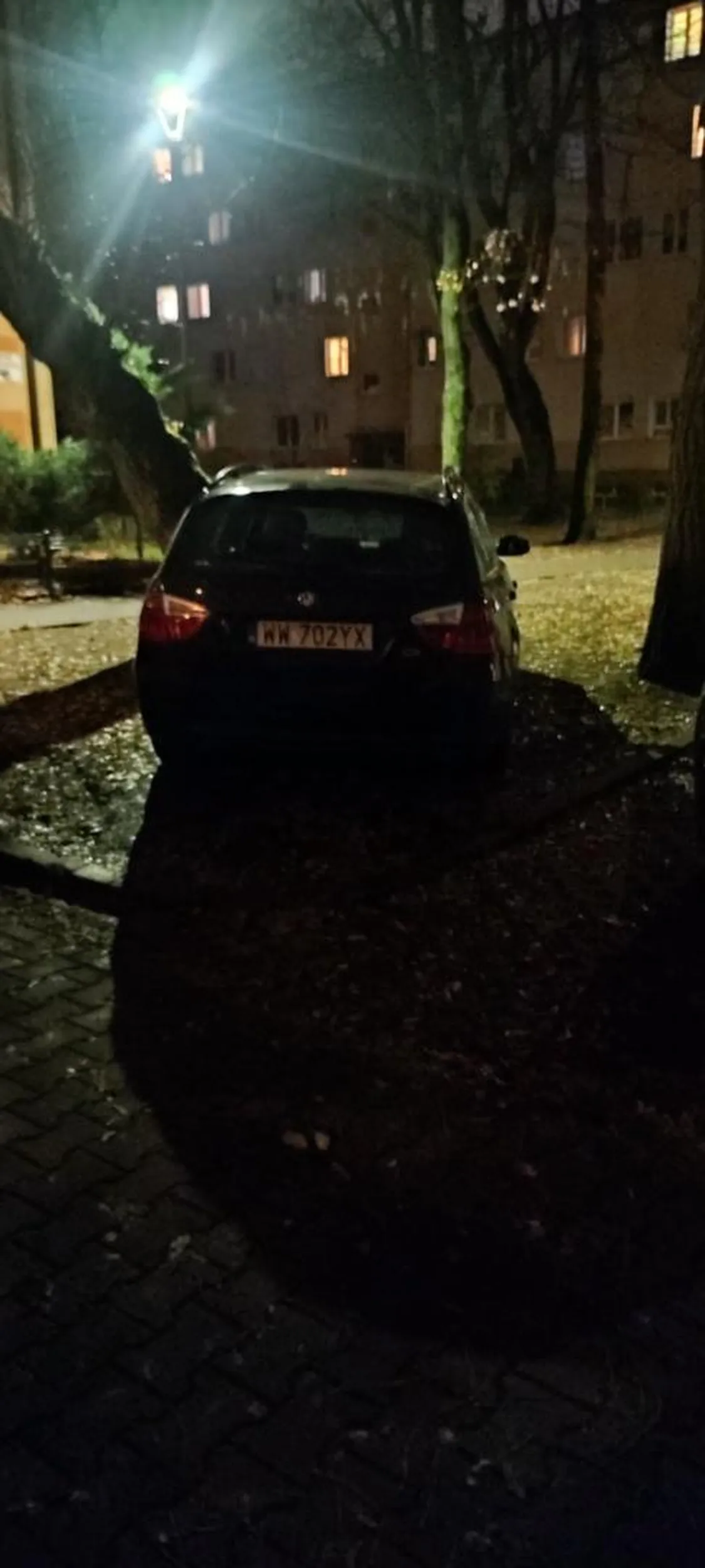 Noo proszę jaki królewicz, w promieniu 100m kilkadziesiąt miejsc a ten imbecyl musiał na trawniku. Ehh, gdzie jest straż miejska.