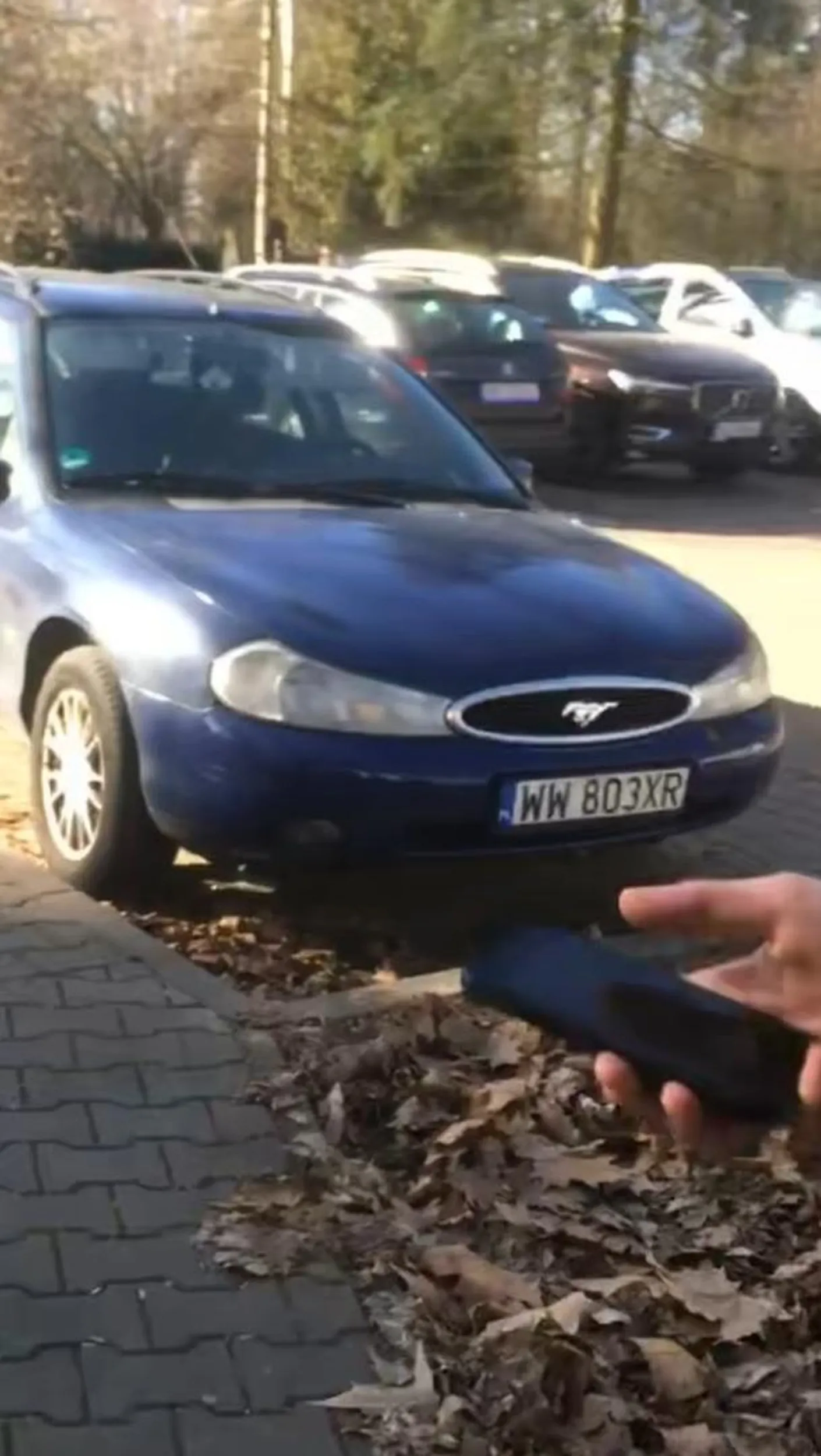 Brat tylko chciał mieć Mustanga...