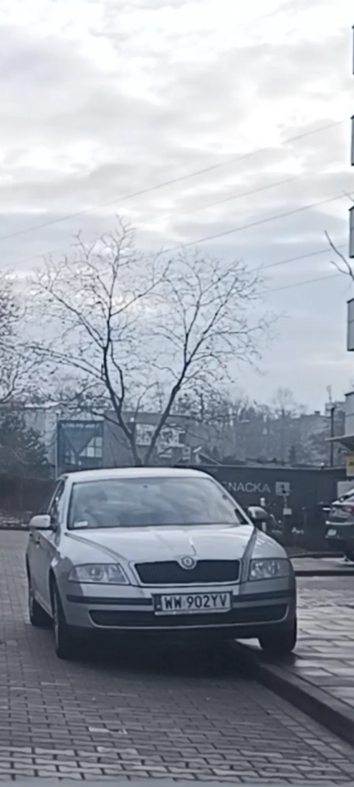 Auto parkuje w miejscu zakazu zatrzymywania się i postoju