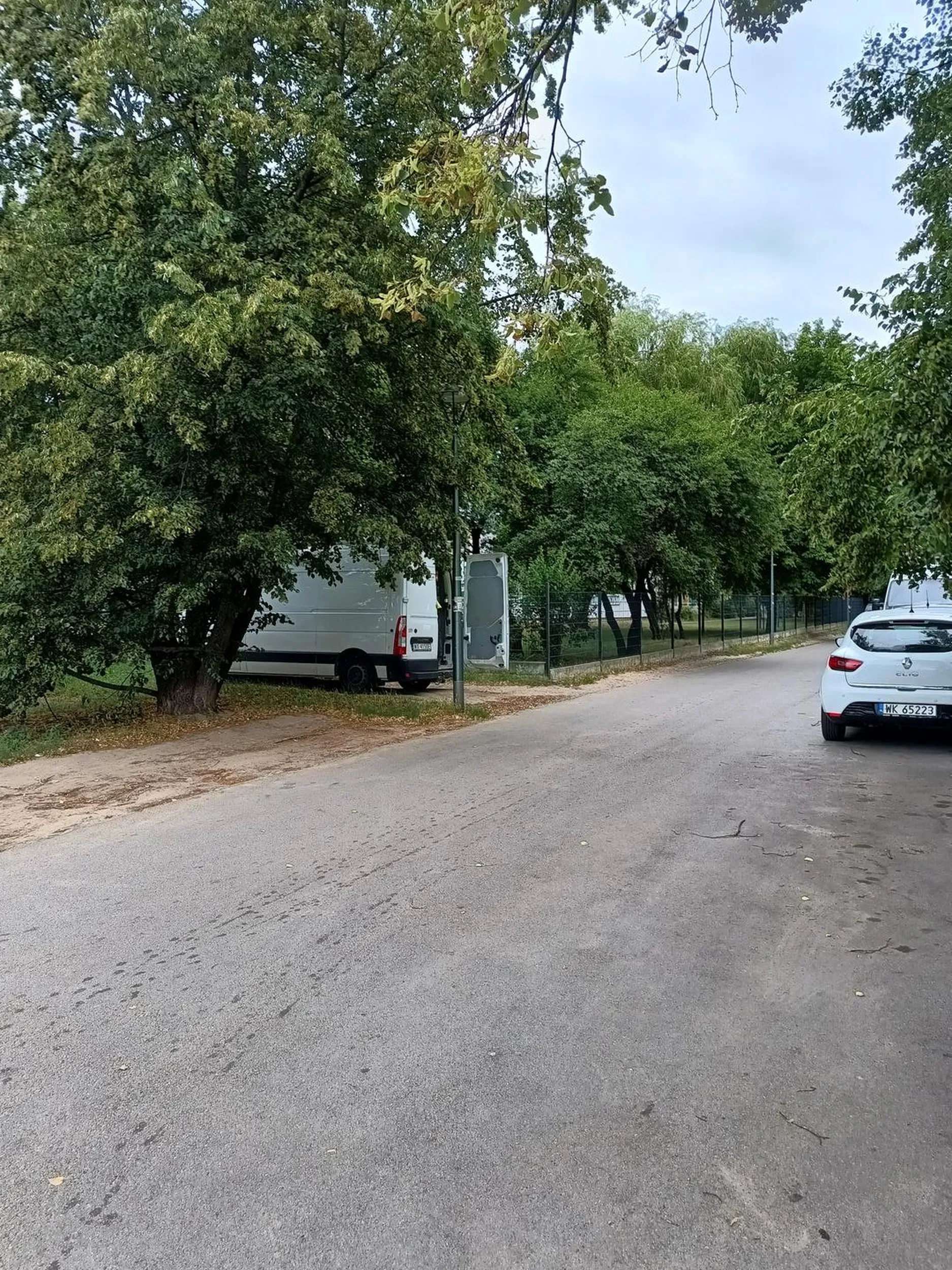 Lubi niszczyć trawniki miejskie