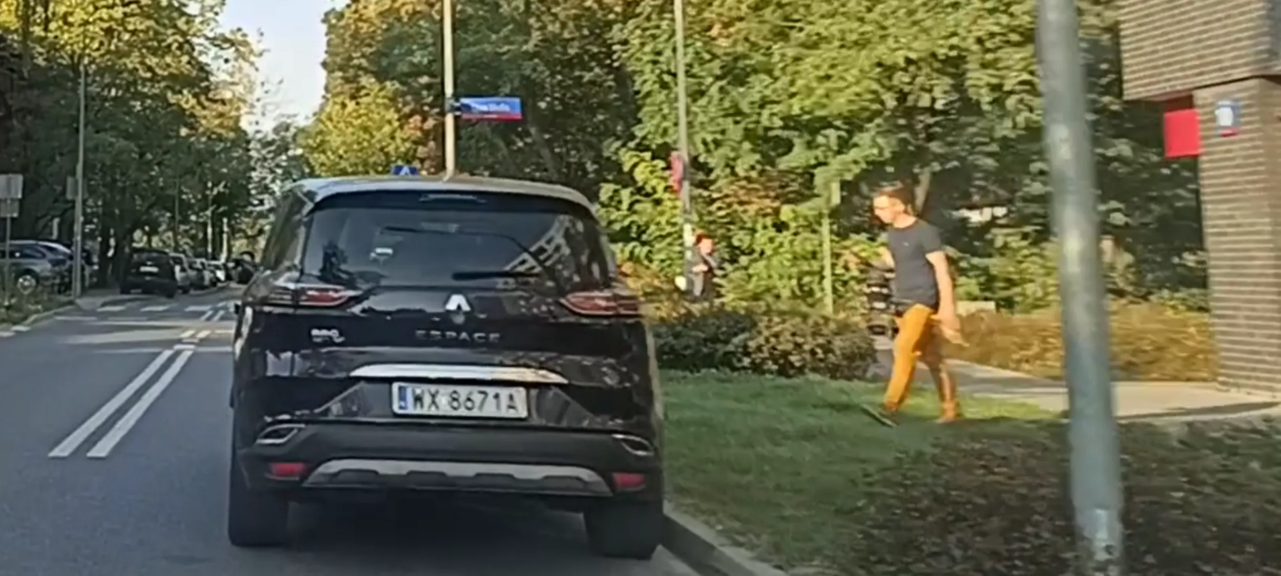 Patokierowca parkuje na ulicy z zakazem zatrzymywania się i postoju i łazi jak robak o trawniku.