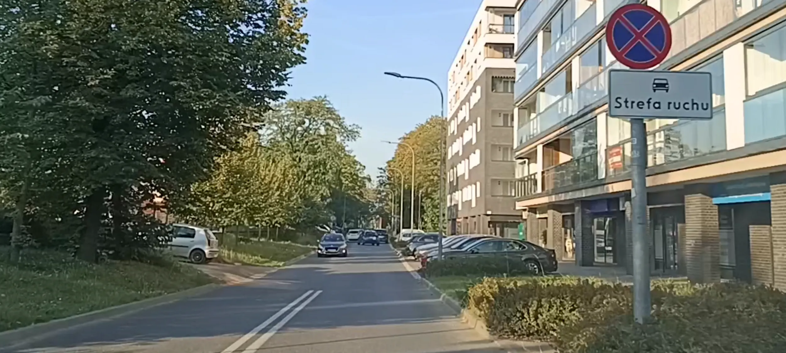 Patokierowca parkuje na ulicy z zakazem zatrzymywania się i postoju i łazi jak robak o trawniku.