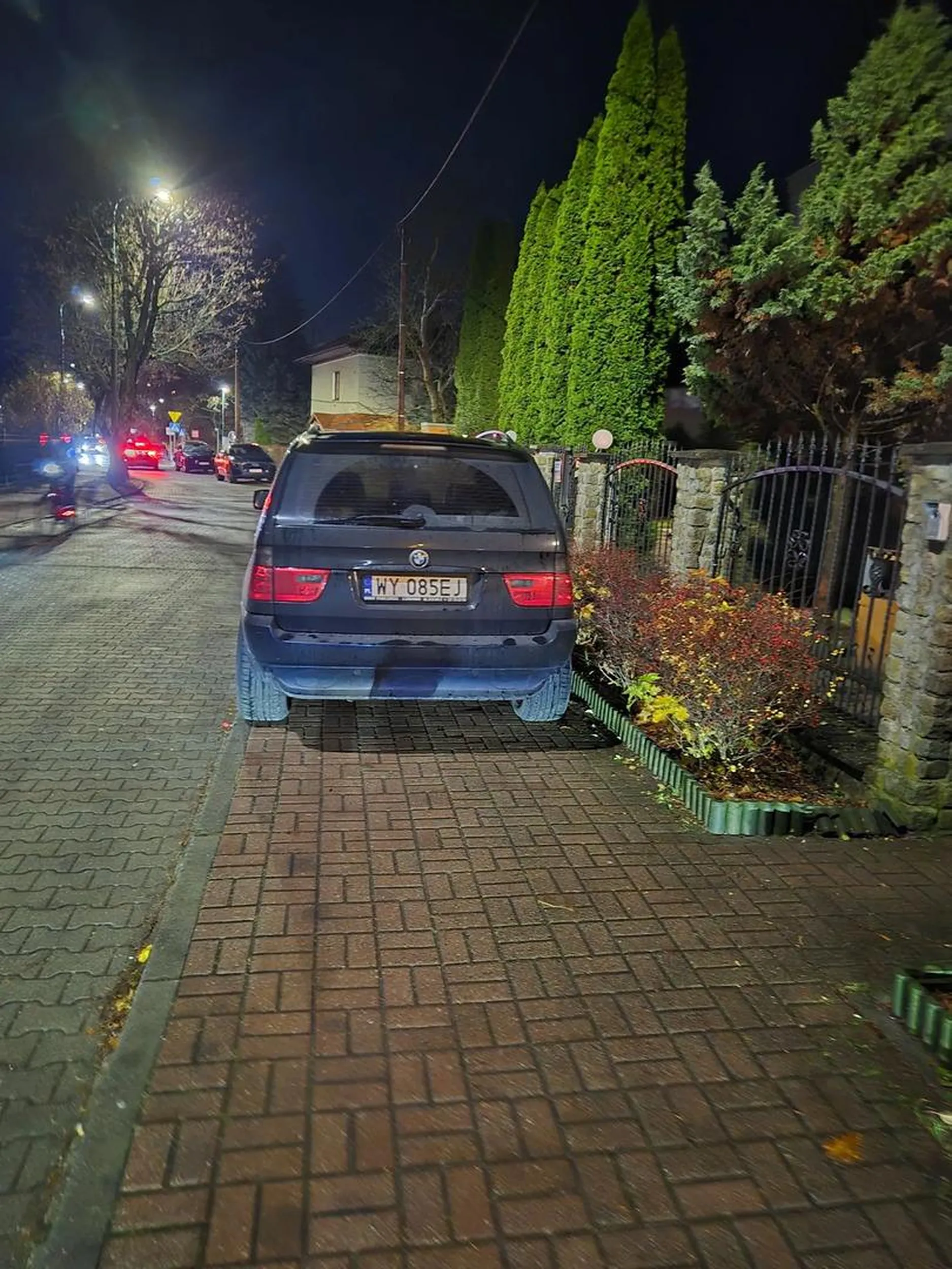 Znalezione na trójmiejskim chodniku