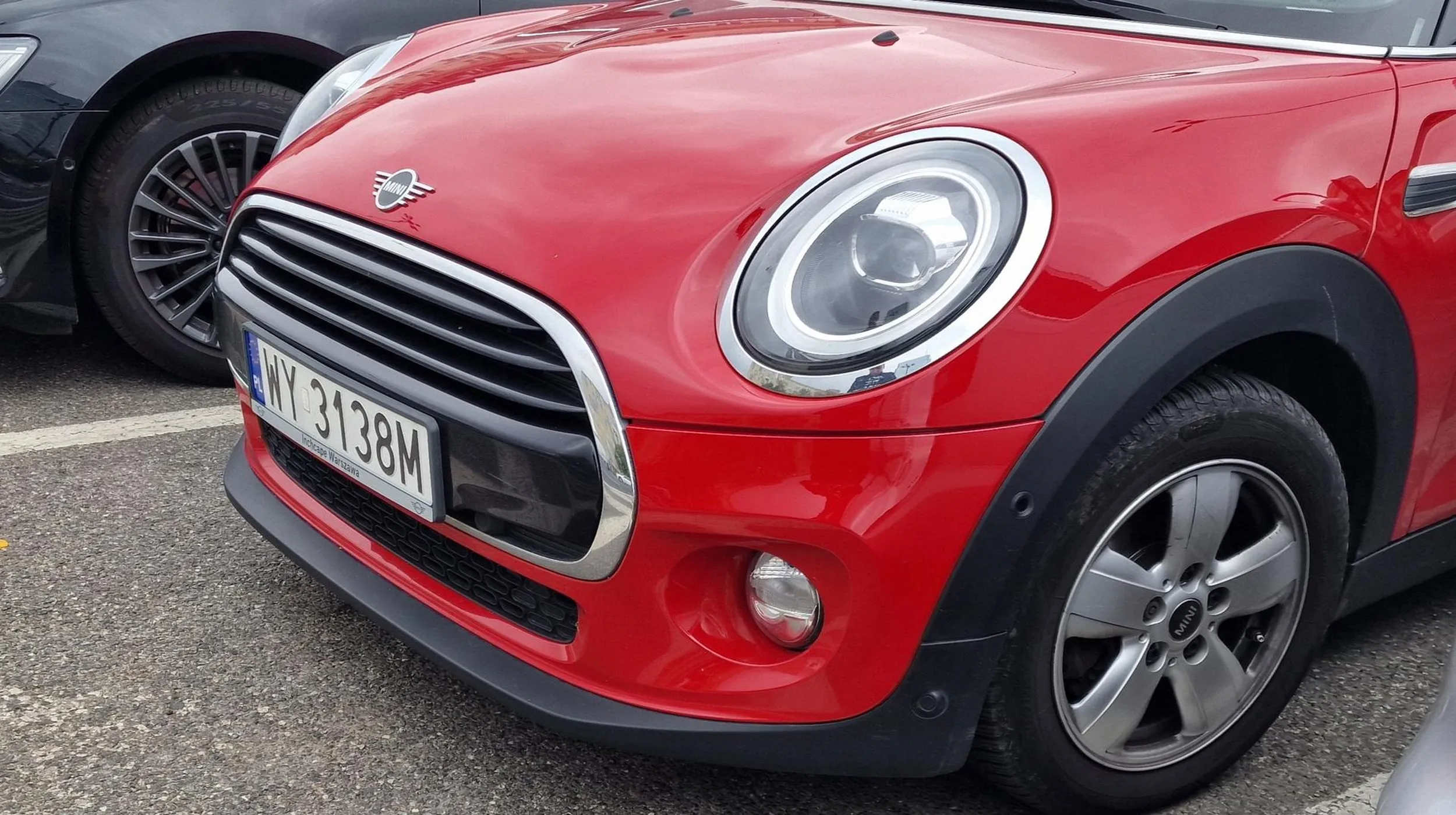 Wredna samica domowego czworonoga, jeżdżąca przez obszary wyłączone z ruchu (wyspy). Po chamsku zajmuje miejsce parkingowe, gdy kto inny chce je zająć i już wykonuje swój manewr. Bardzo zadowolona z siebie i złośliwa. Zaraza na drodze...