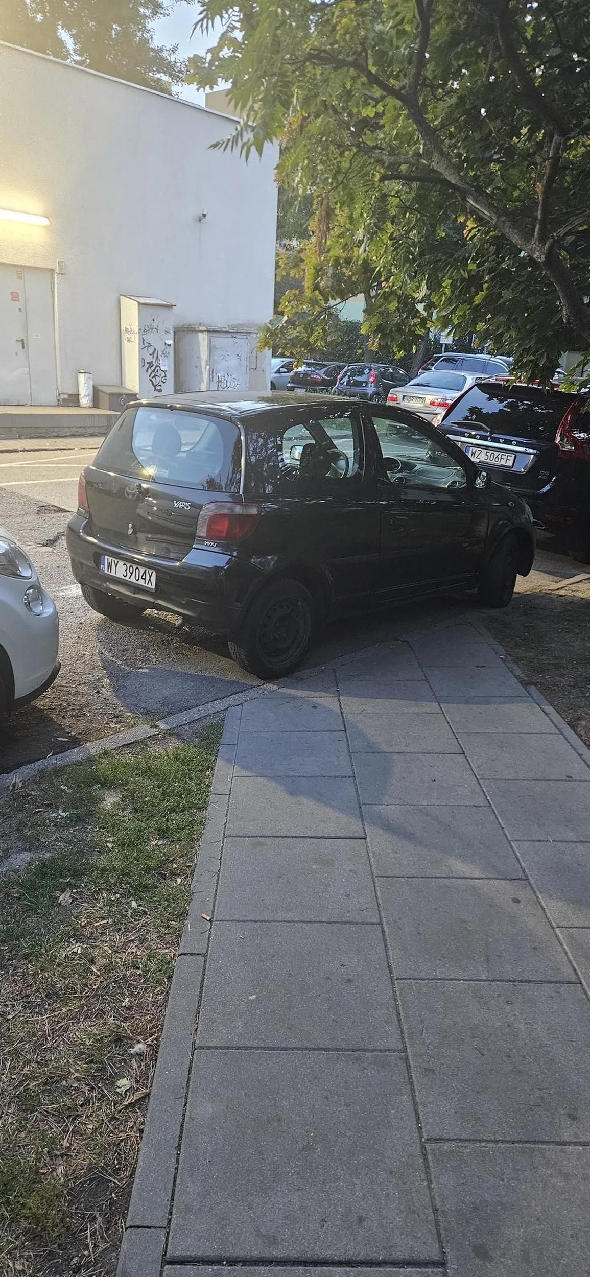 Kierowca widziany 5m dalej w krzakach jak robił lache psu