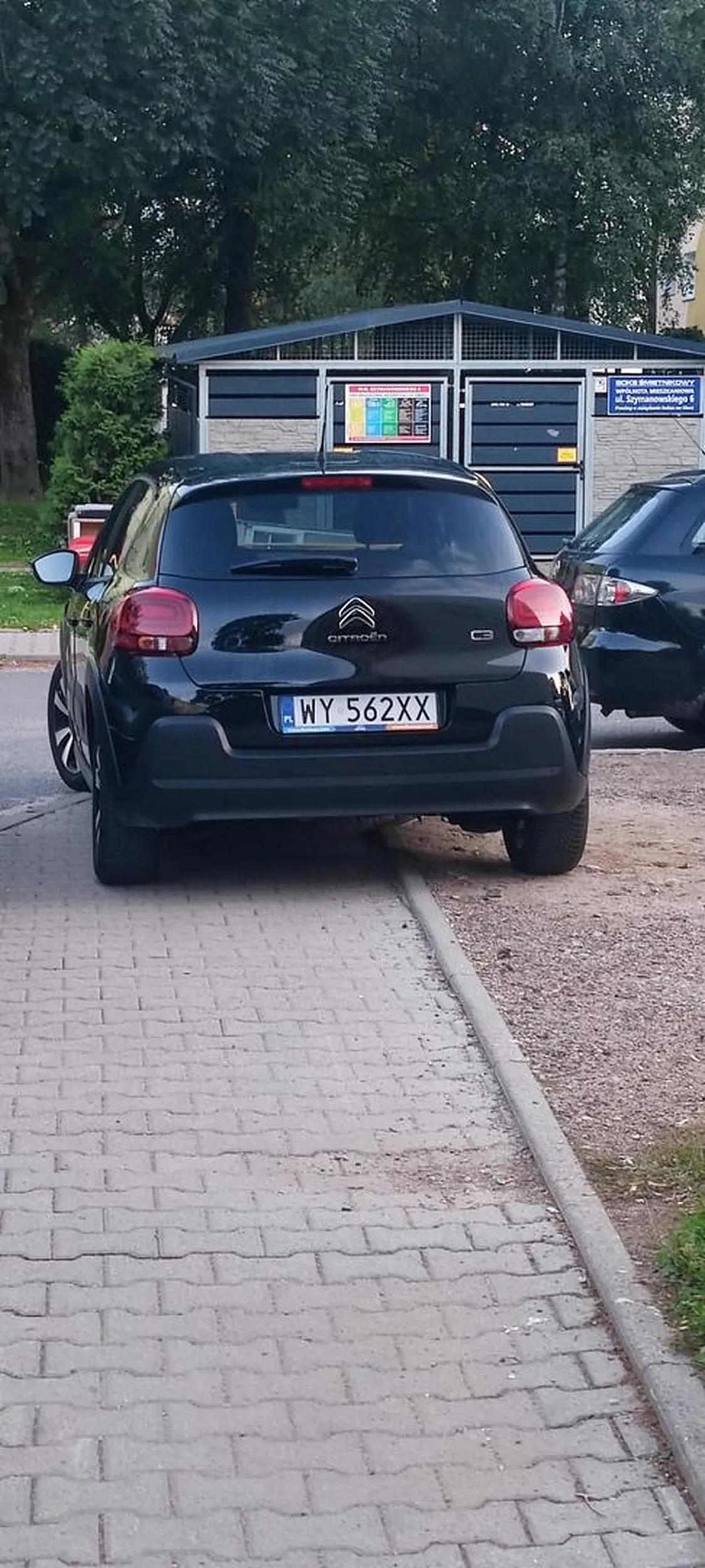 Jeden z mistrzów parkowania :)