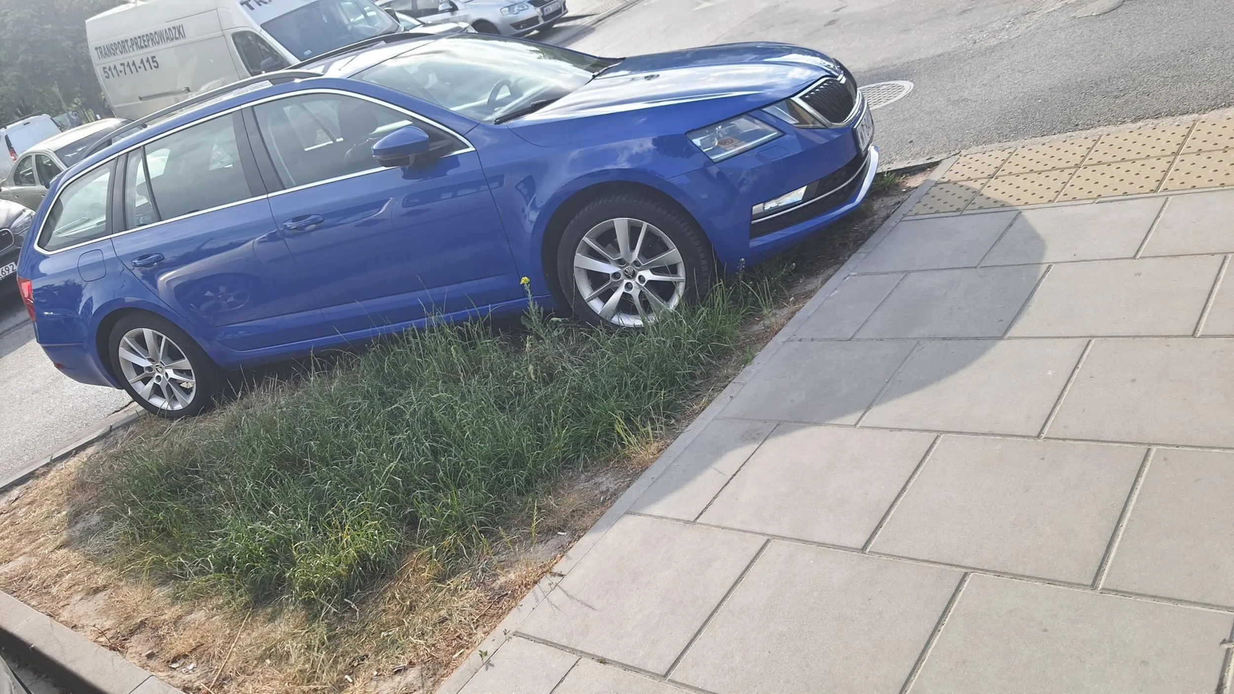 Parkowanie na trawie